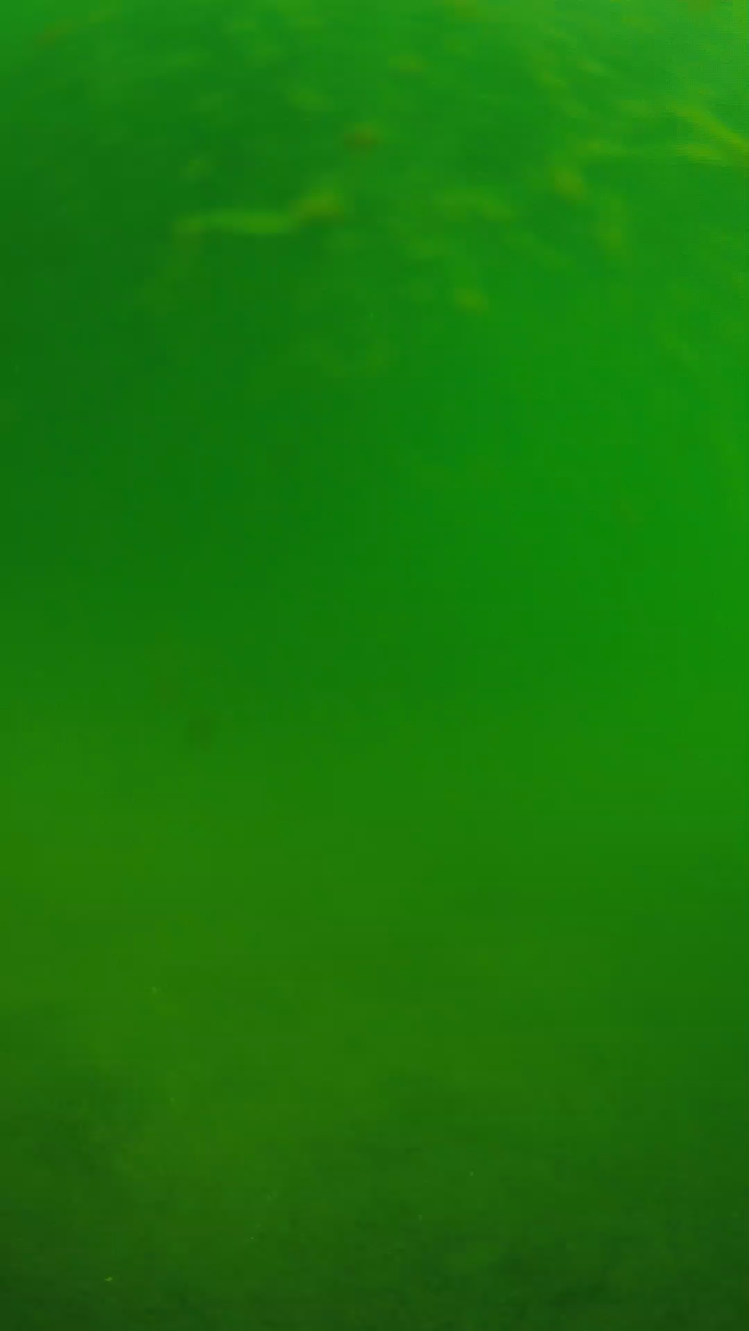 lander_ipcam_20240622090557.png
