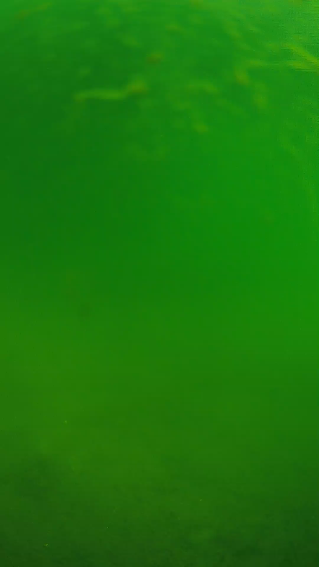 lander_ipcam_20240622090558.png