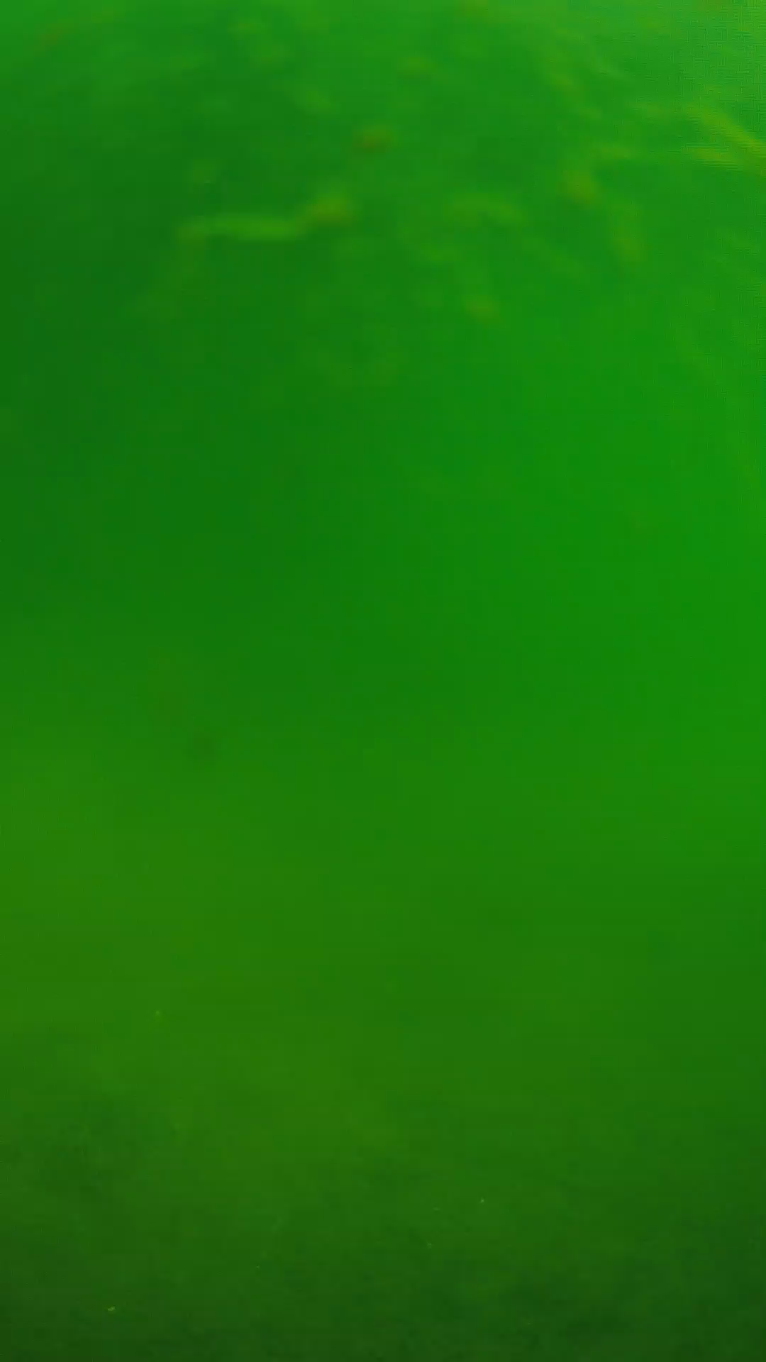 lander_ipcam_20240622090559.png