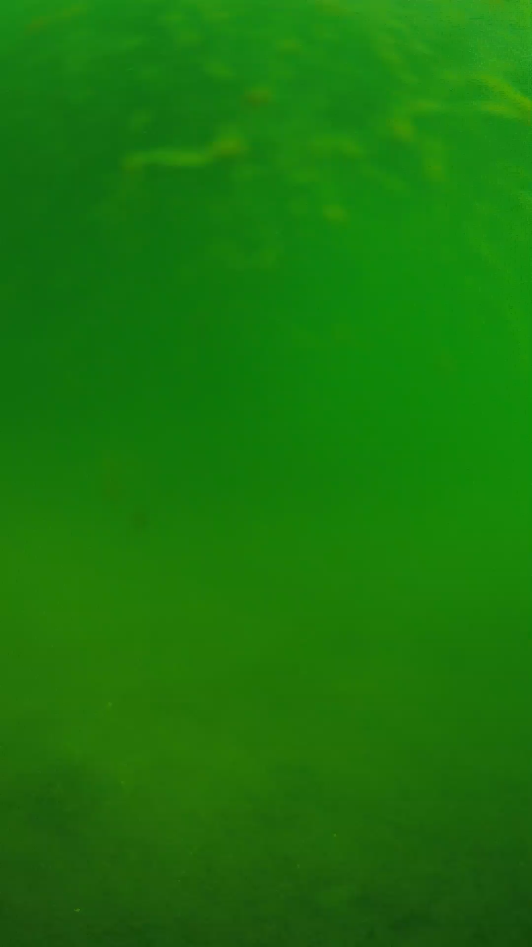 lander_ipcam_20240622090600.png