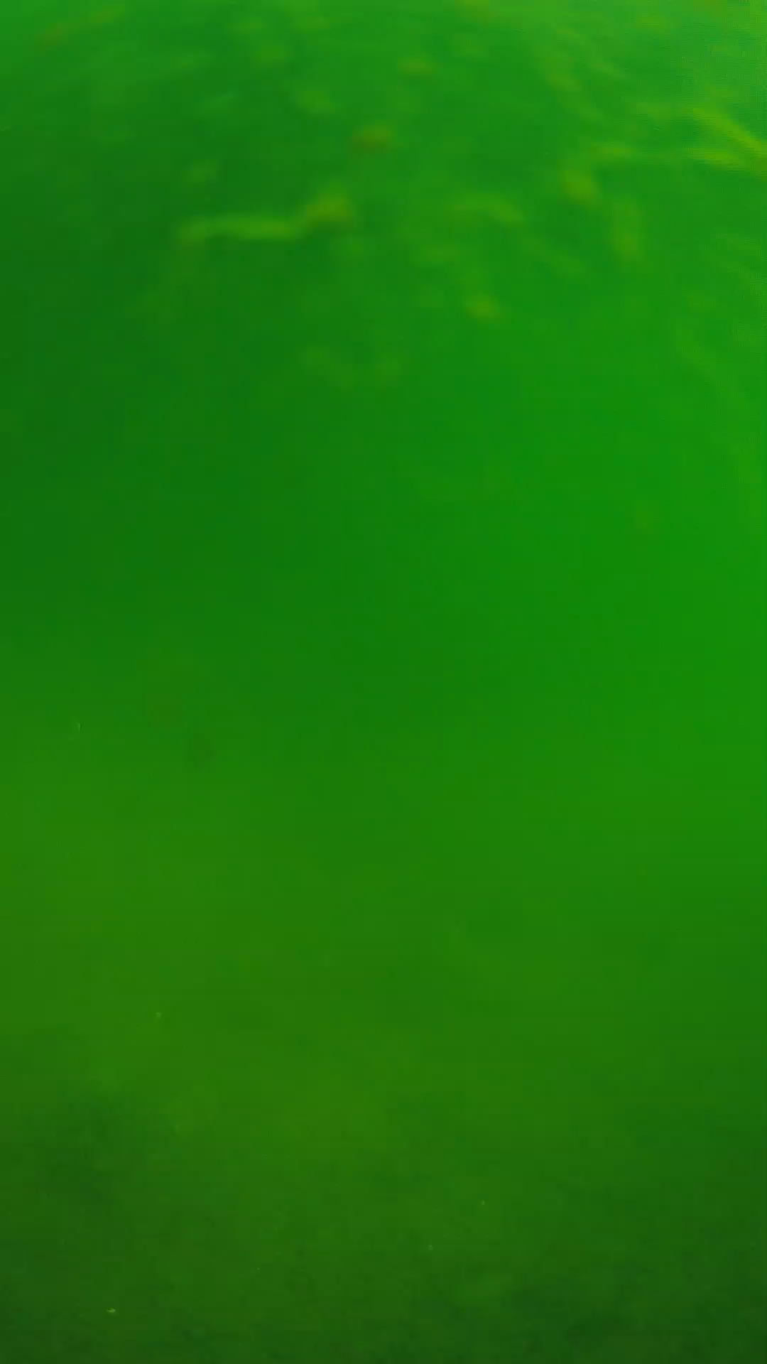 lander_ipcam_20240622090601.png