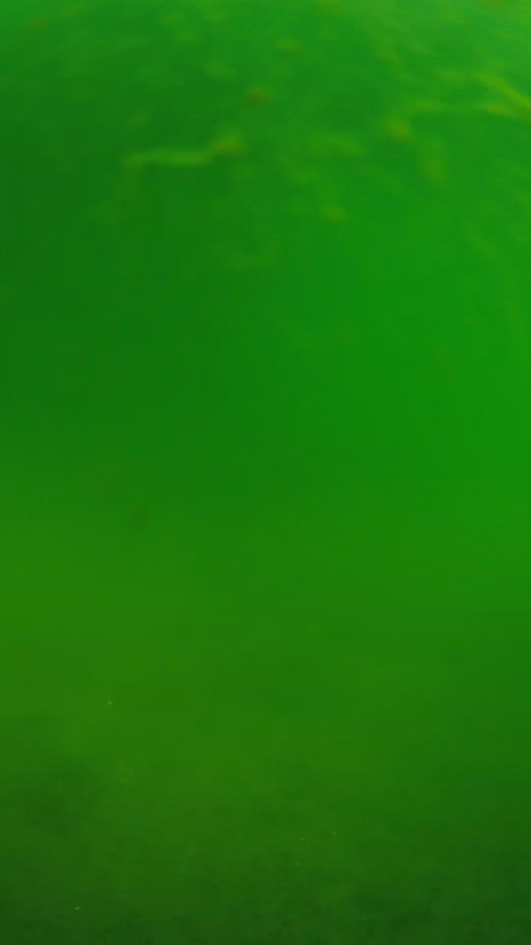 lander_ipcam_20240622090602.png