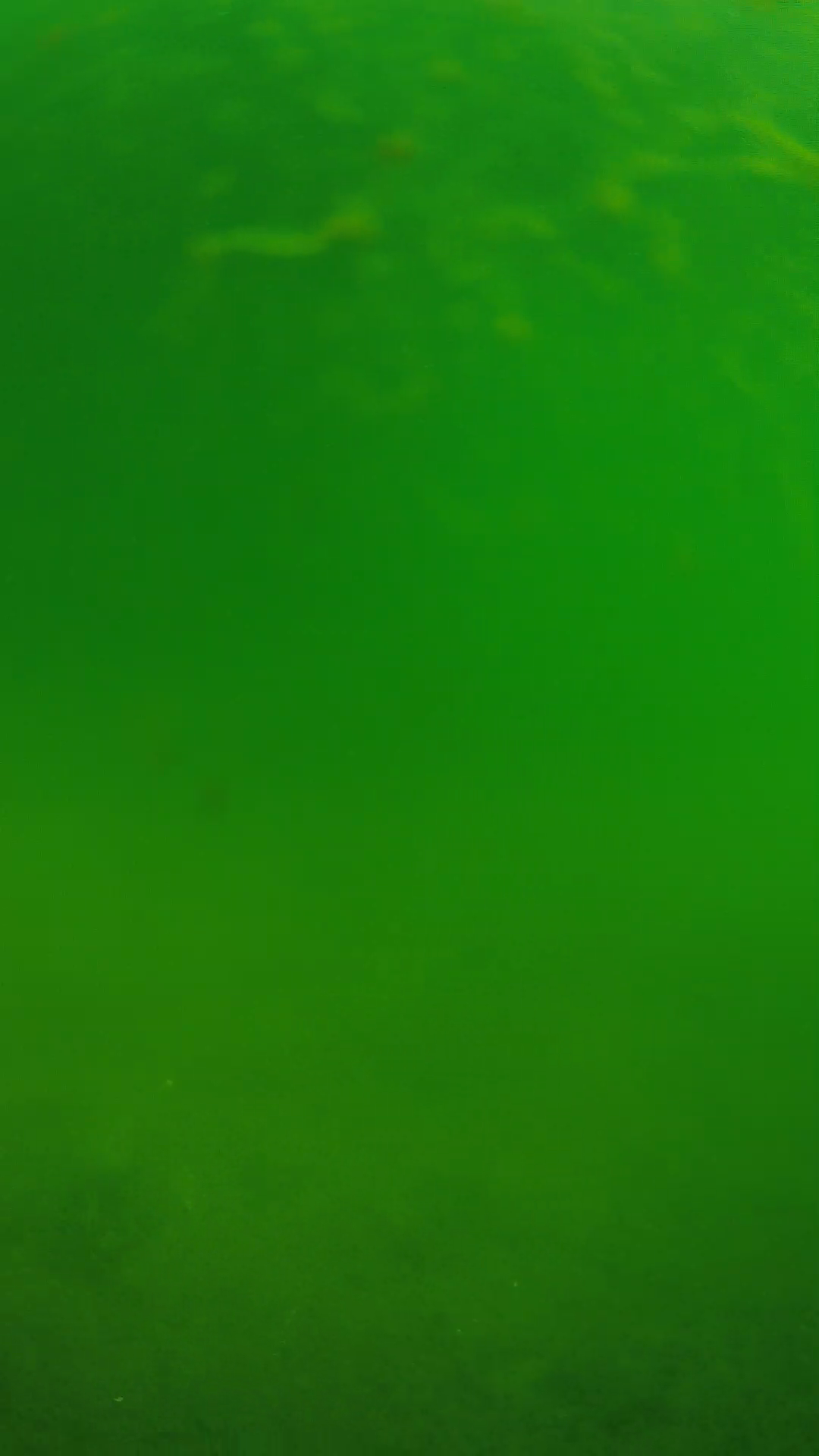 lander_ipcam_20240622090603.png
