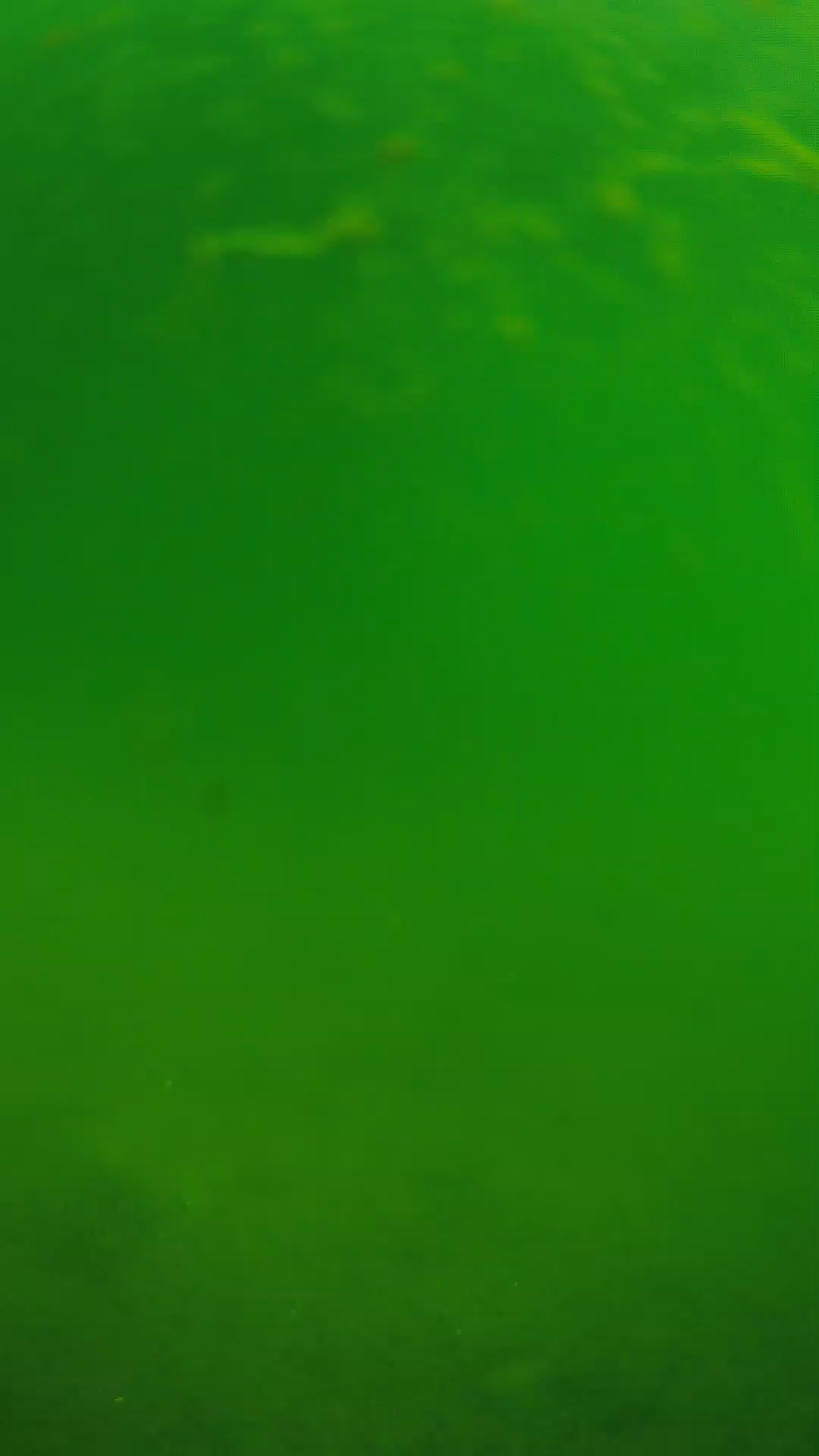 lander_ipcam_20240622090604.png