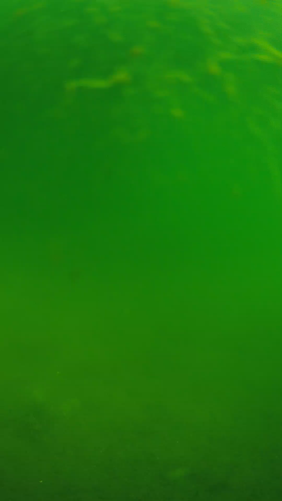 lander_ipcam_20240622090605.png