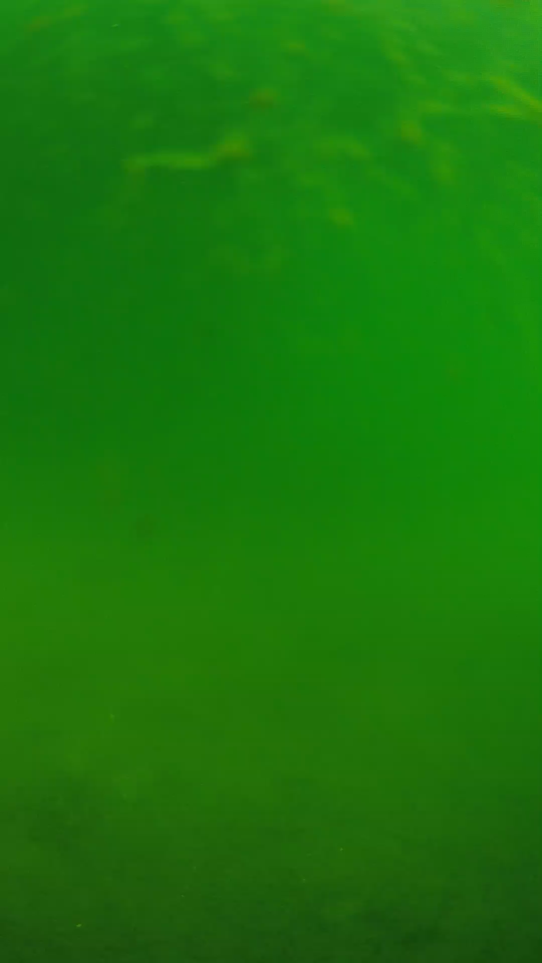 lander_ipcam_20240622090606.png