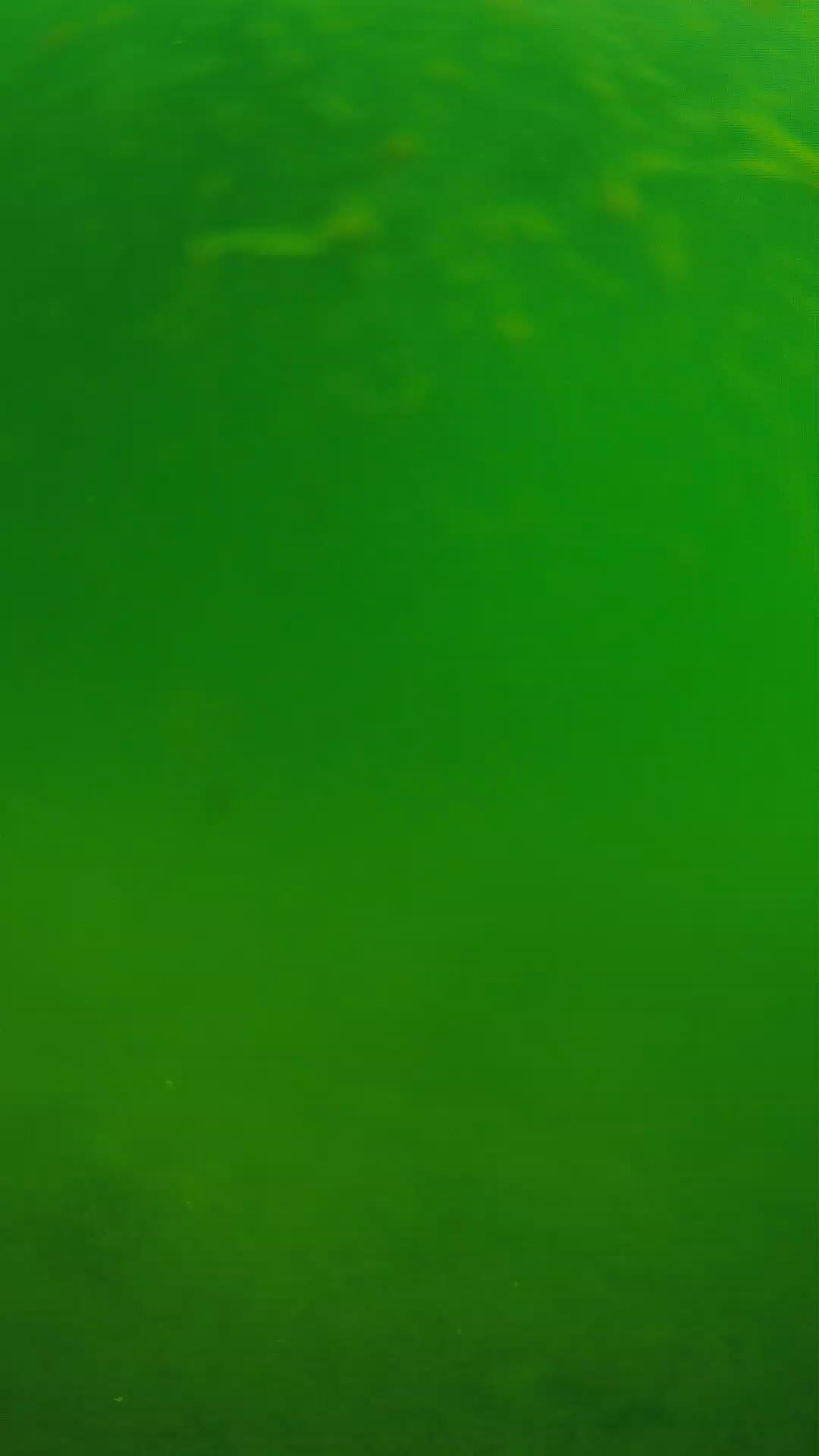 lander_ipcam_20240622090607.png