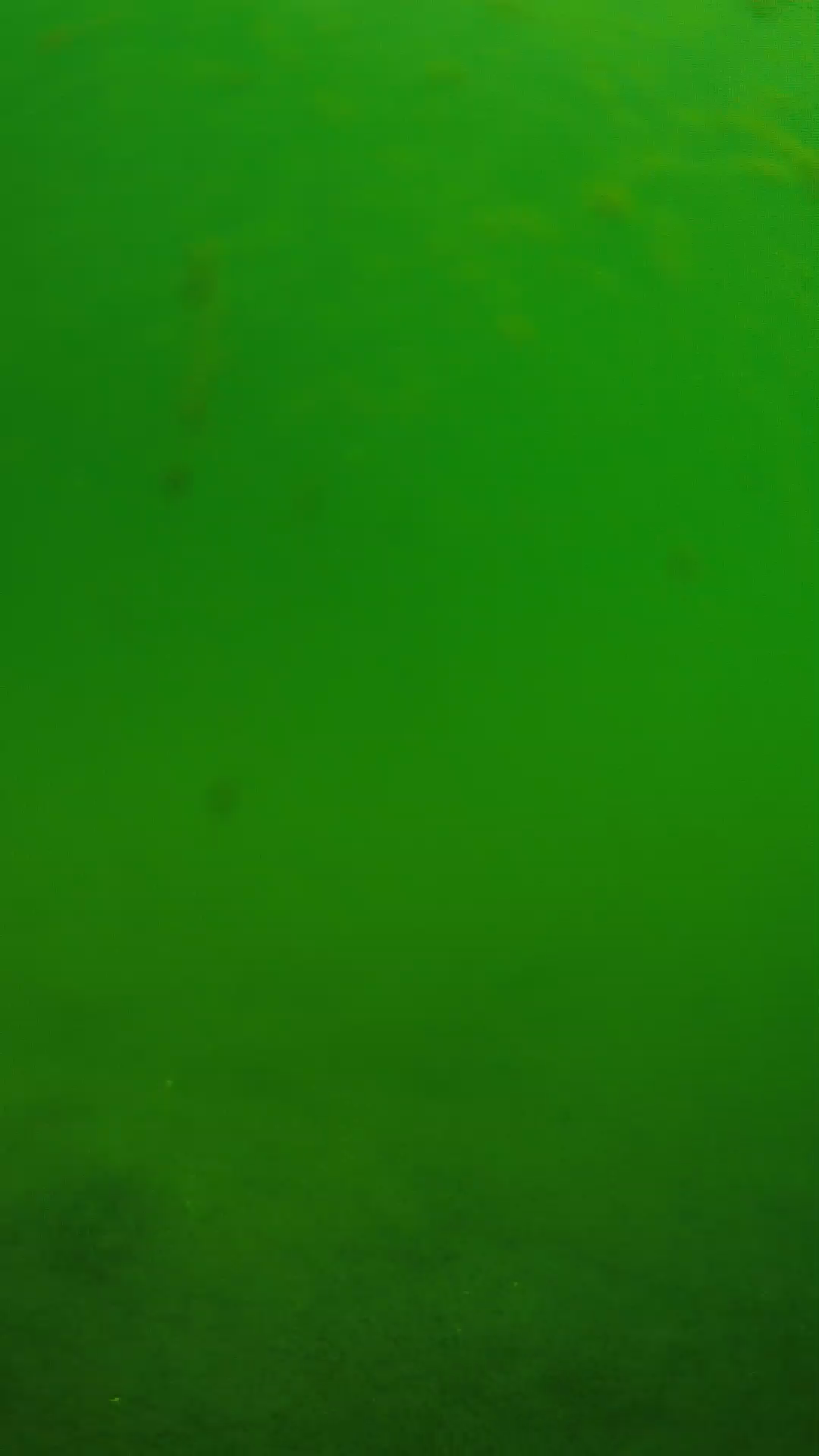 lander_ipcam_20240622100538.png