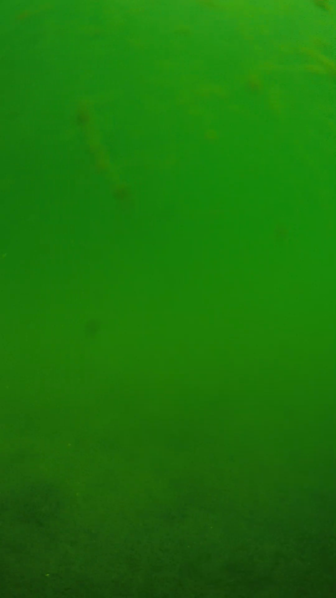 lander_ipcam_20240622100539.png