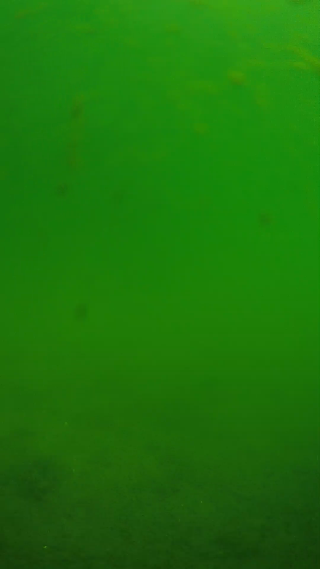 lander_ipcam_20240622100540.png