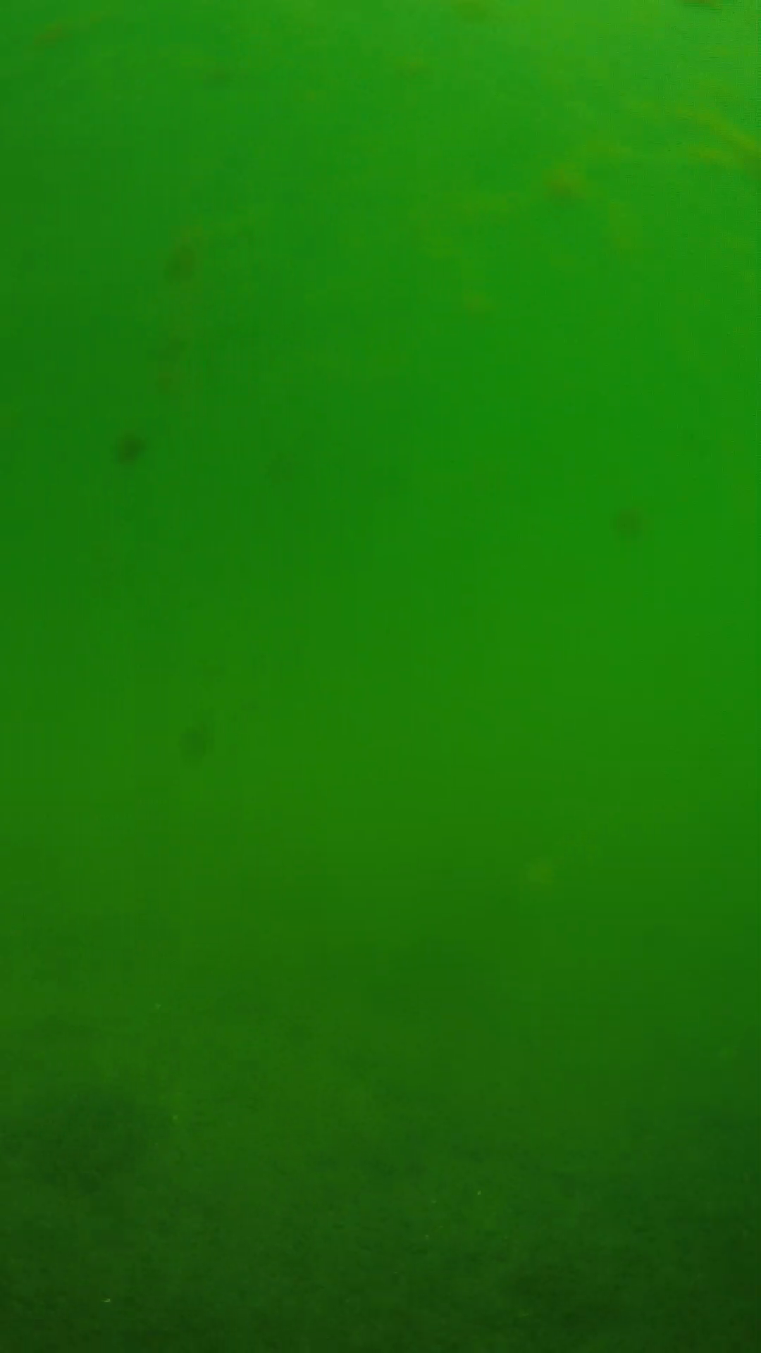 lander_ipcam_20240622100542.png