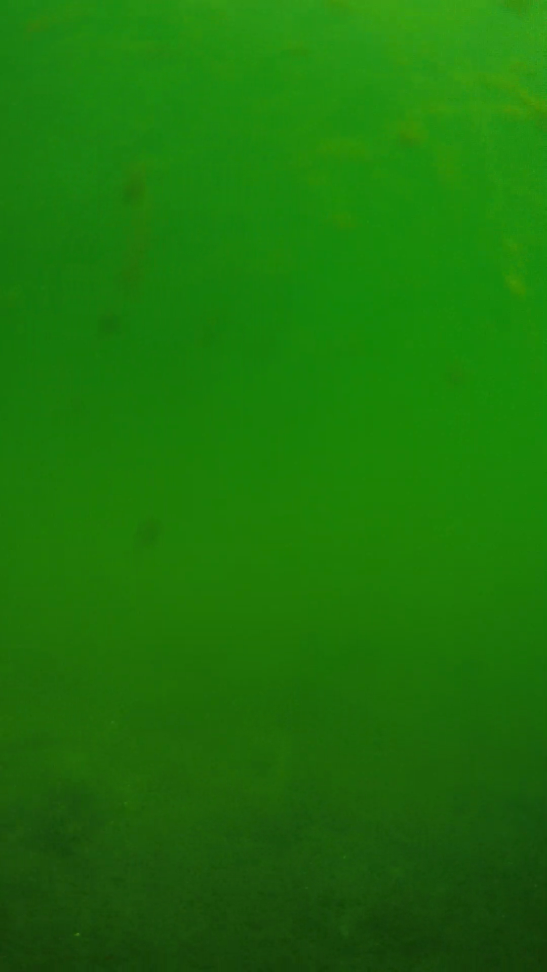 lander_ipcam_20240622100543.png