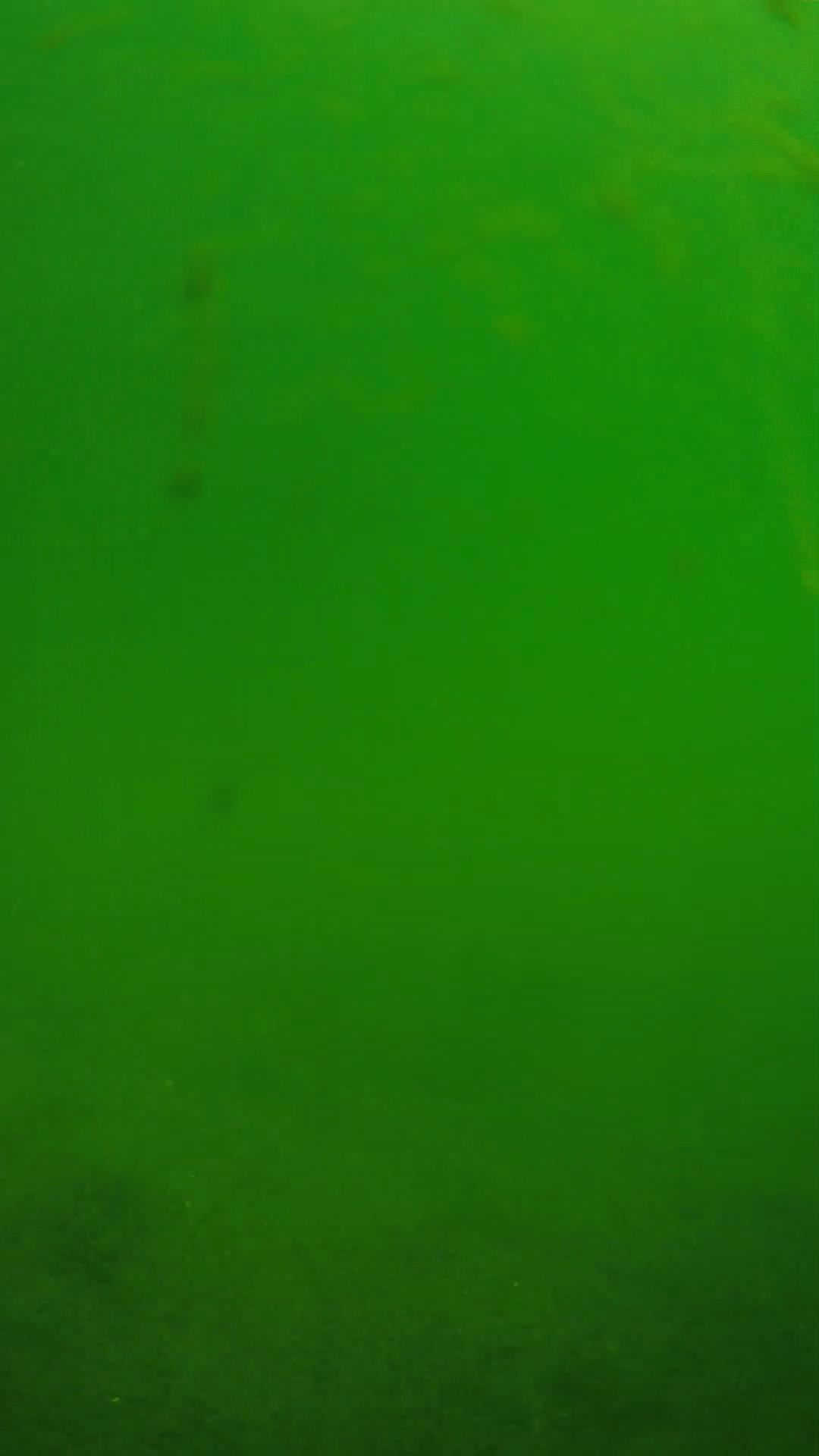 lander_ipcam_20240622100544.png