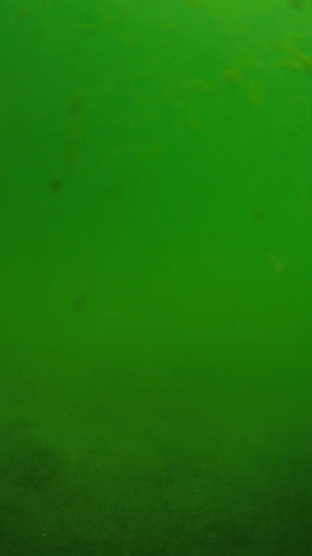 lander_ipcam_20240622100545.png
