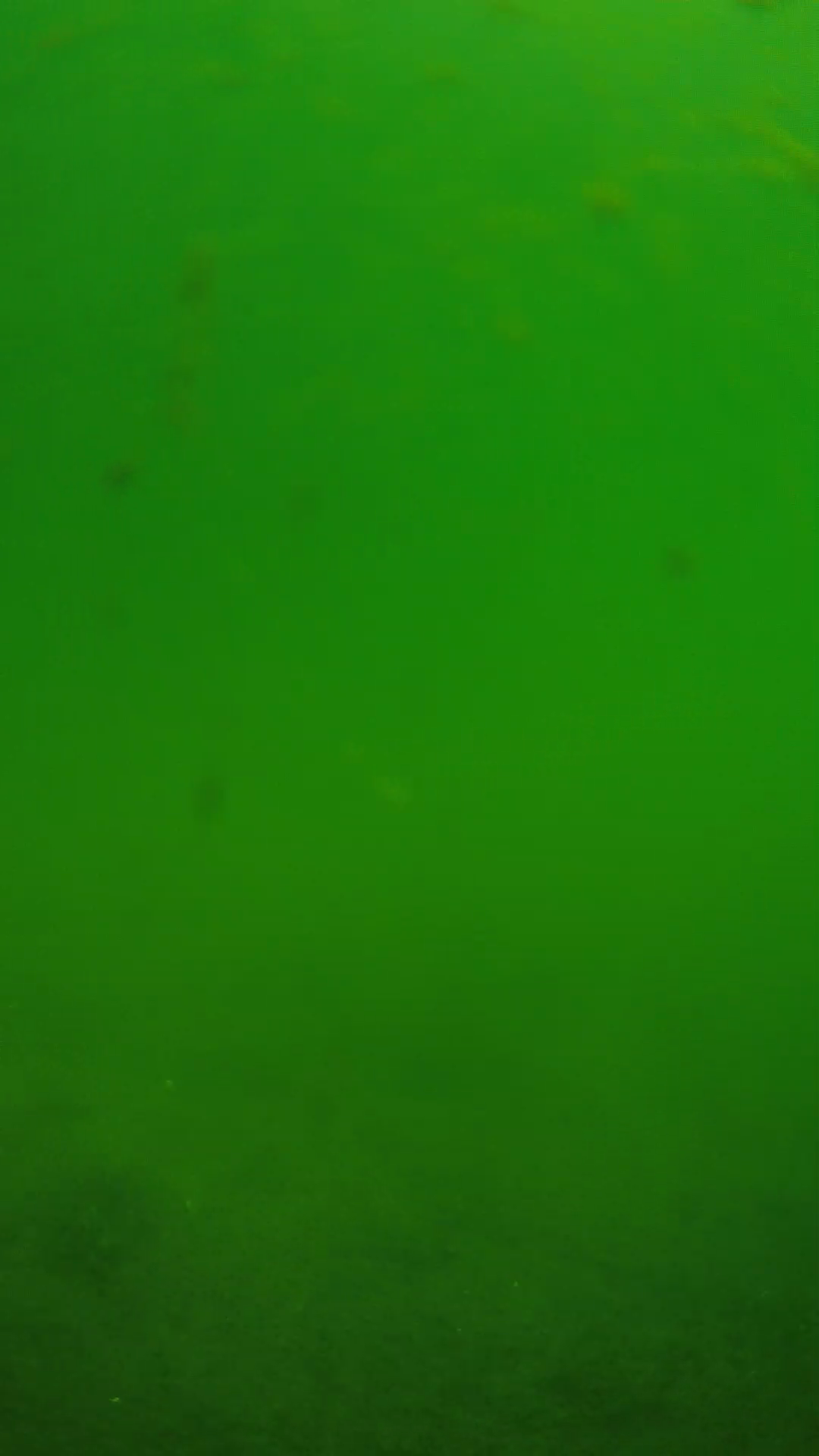 lander_ipcam_20240622100546.png