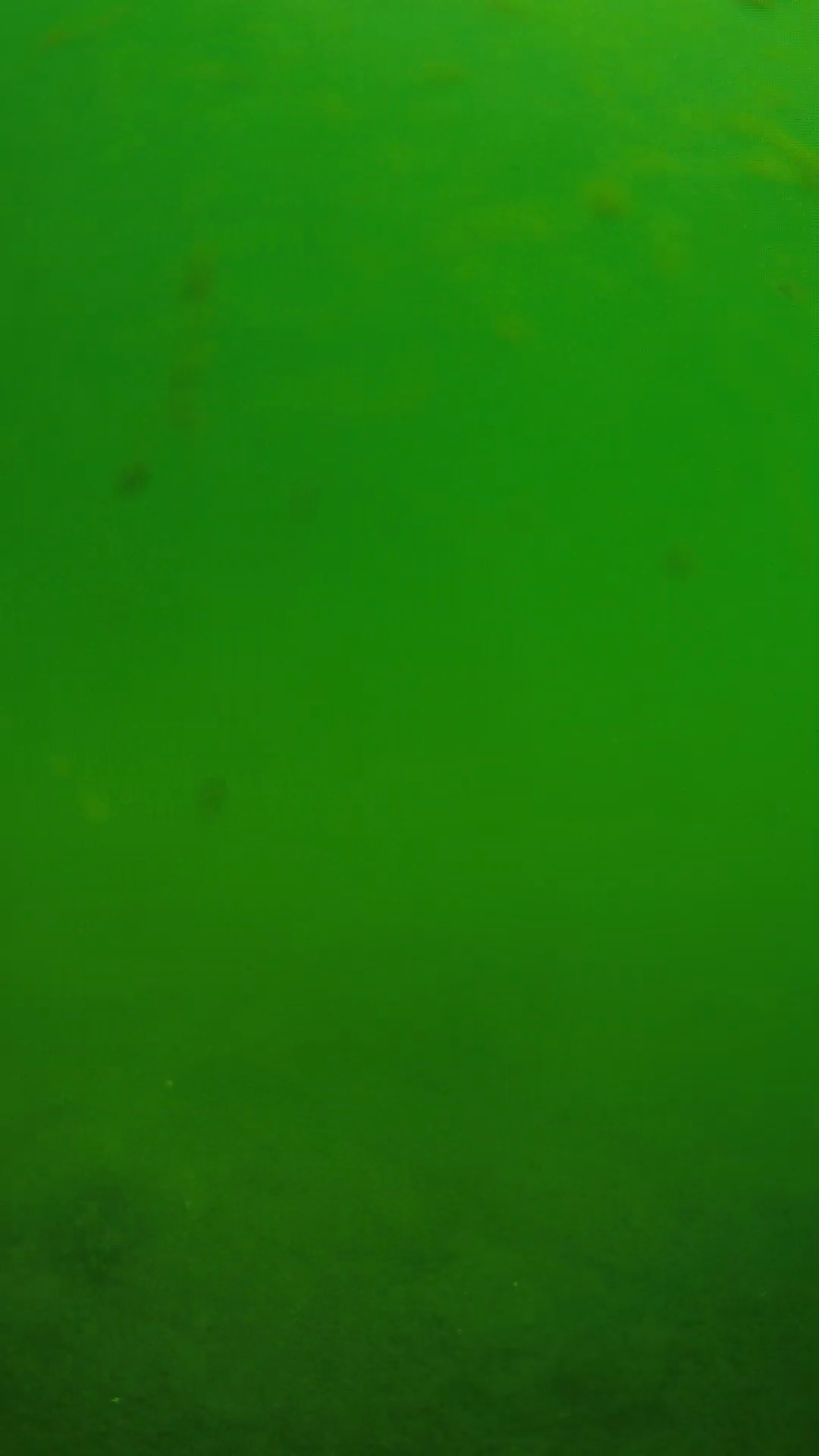 lander_ipcam_20240622100547.png