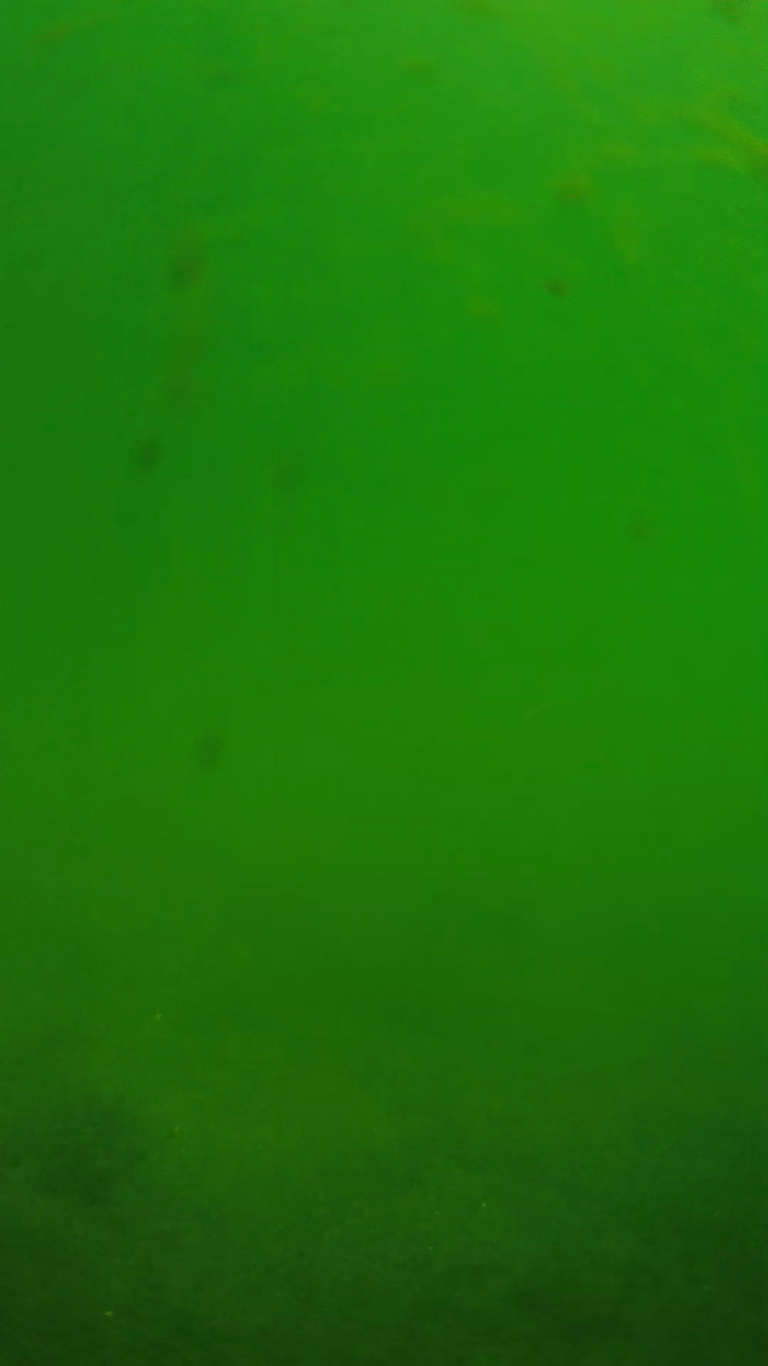 lander_ipcam_20240622100548.png