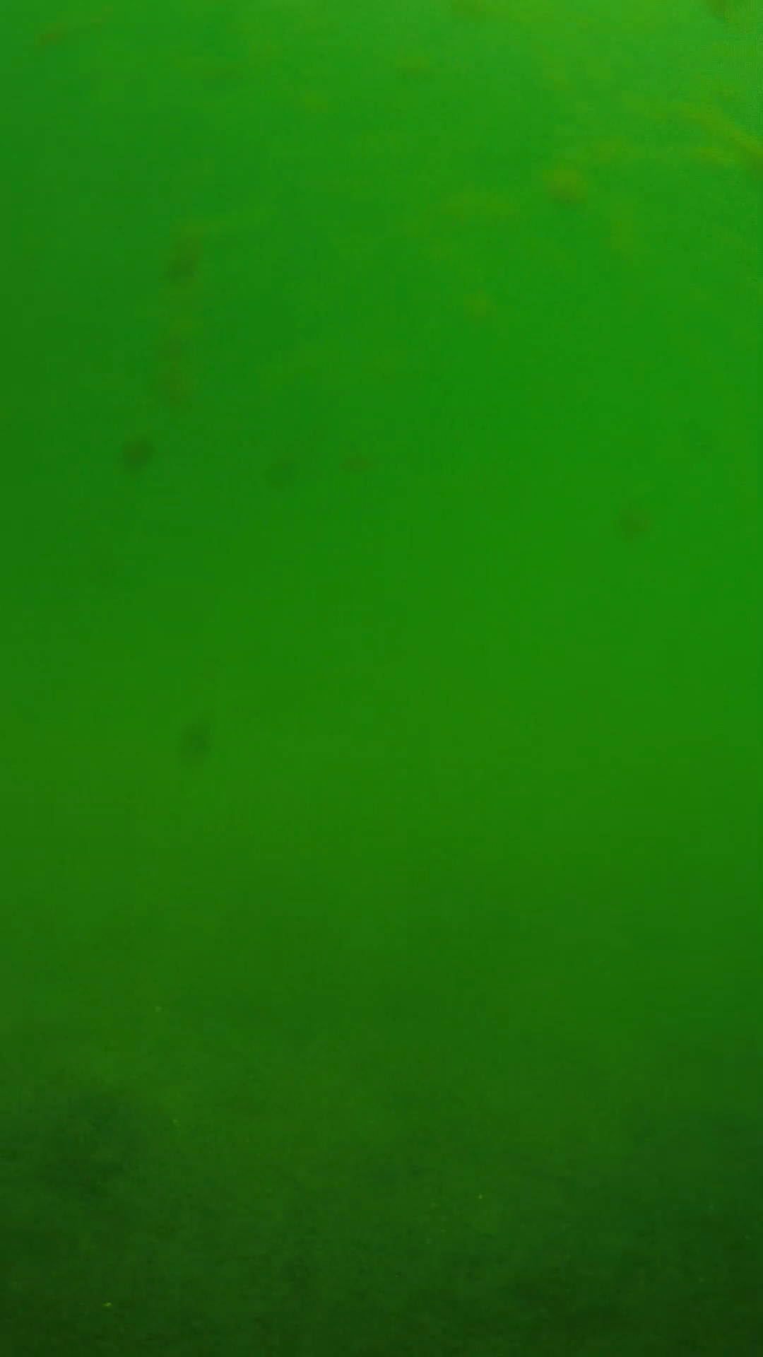 lander_ipcam_20240622100550.png