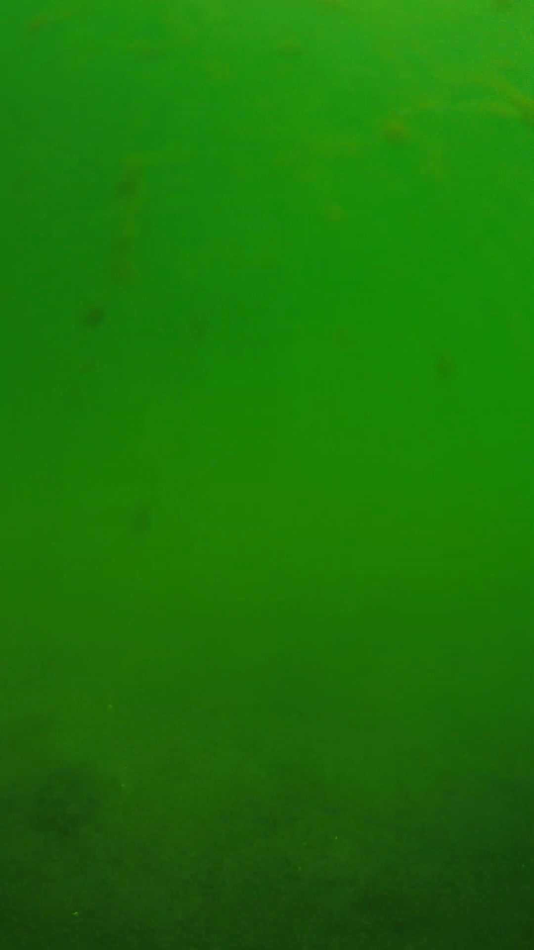 lander_ipcam_20240622100551.png