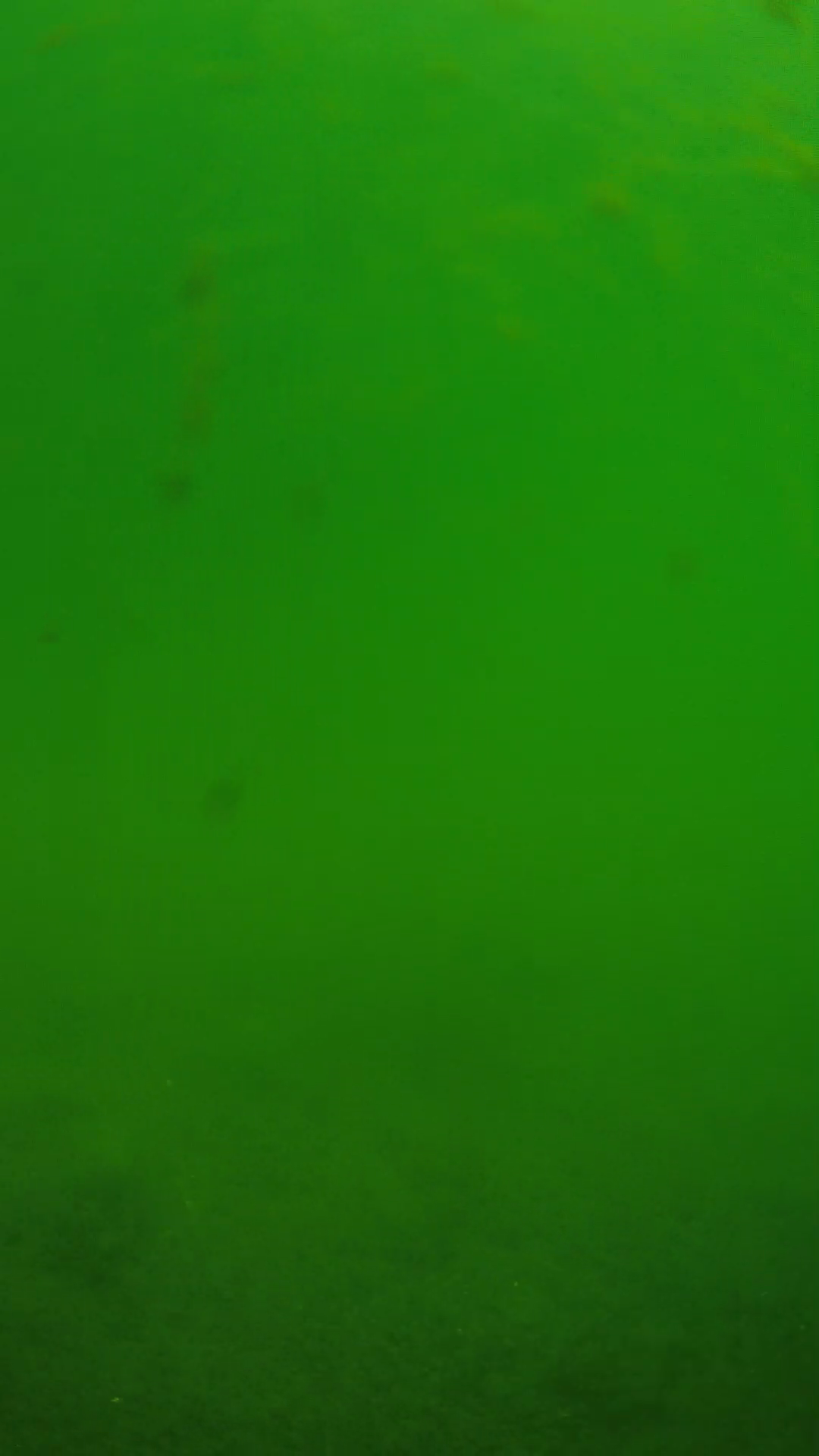 lander_ipcam_20240622100552.png