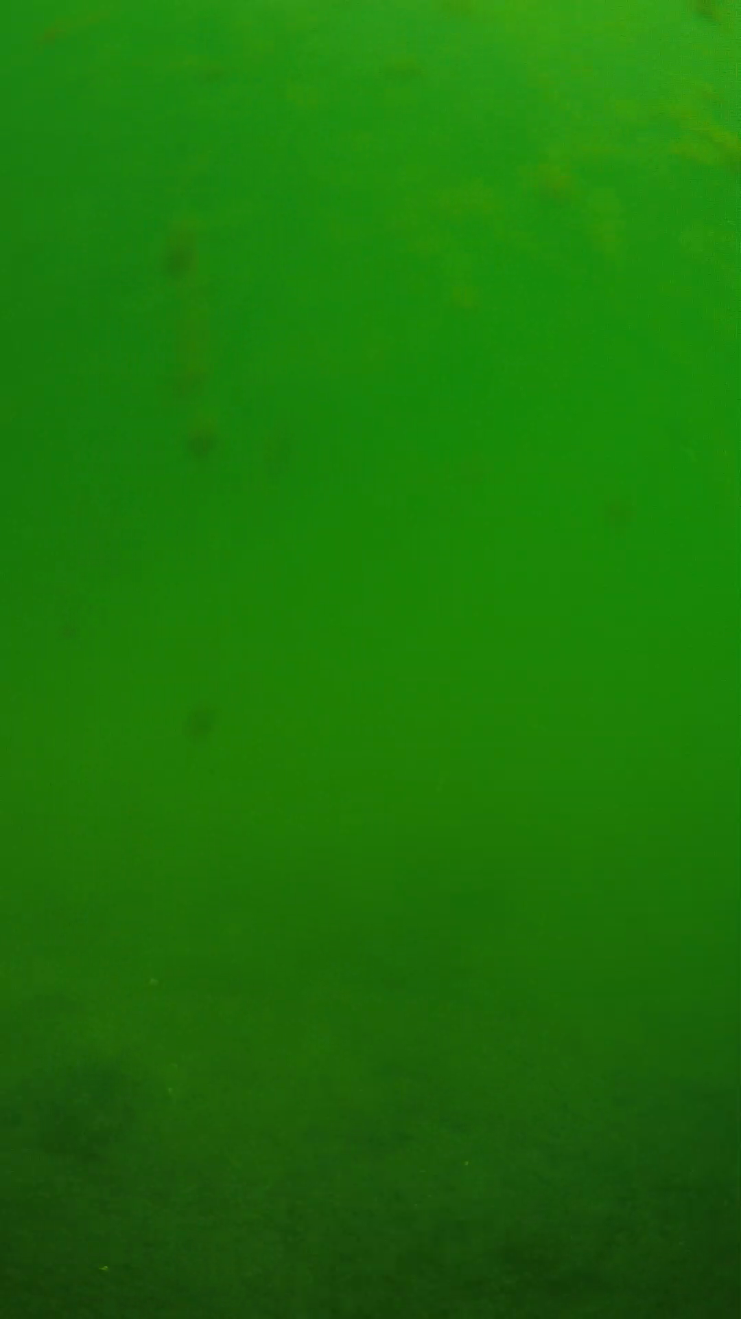 lander_ipcam_20240622100553.png