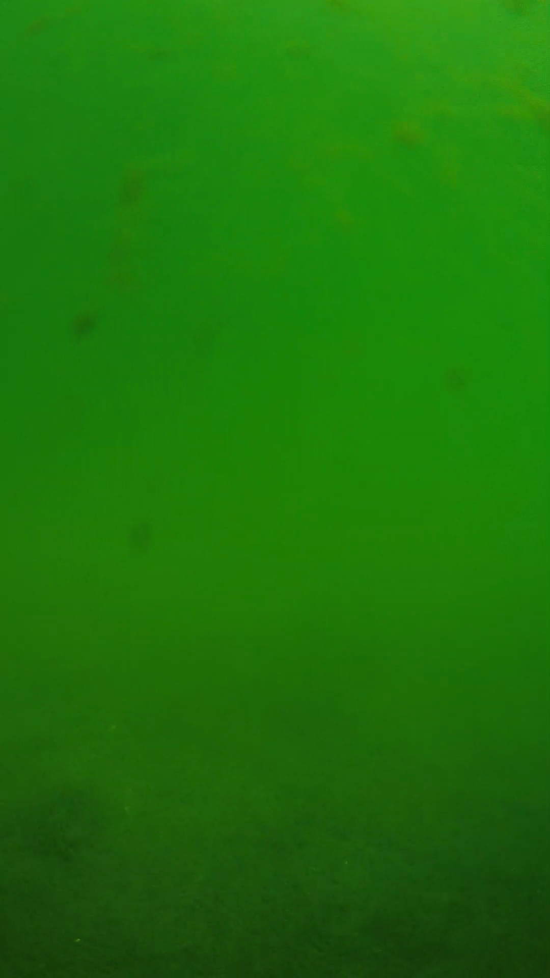lander_ipcam_20240622100554.png