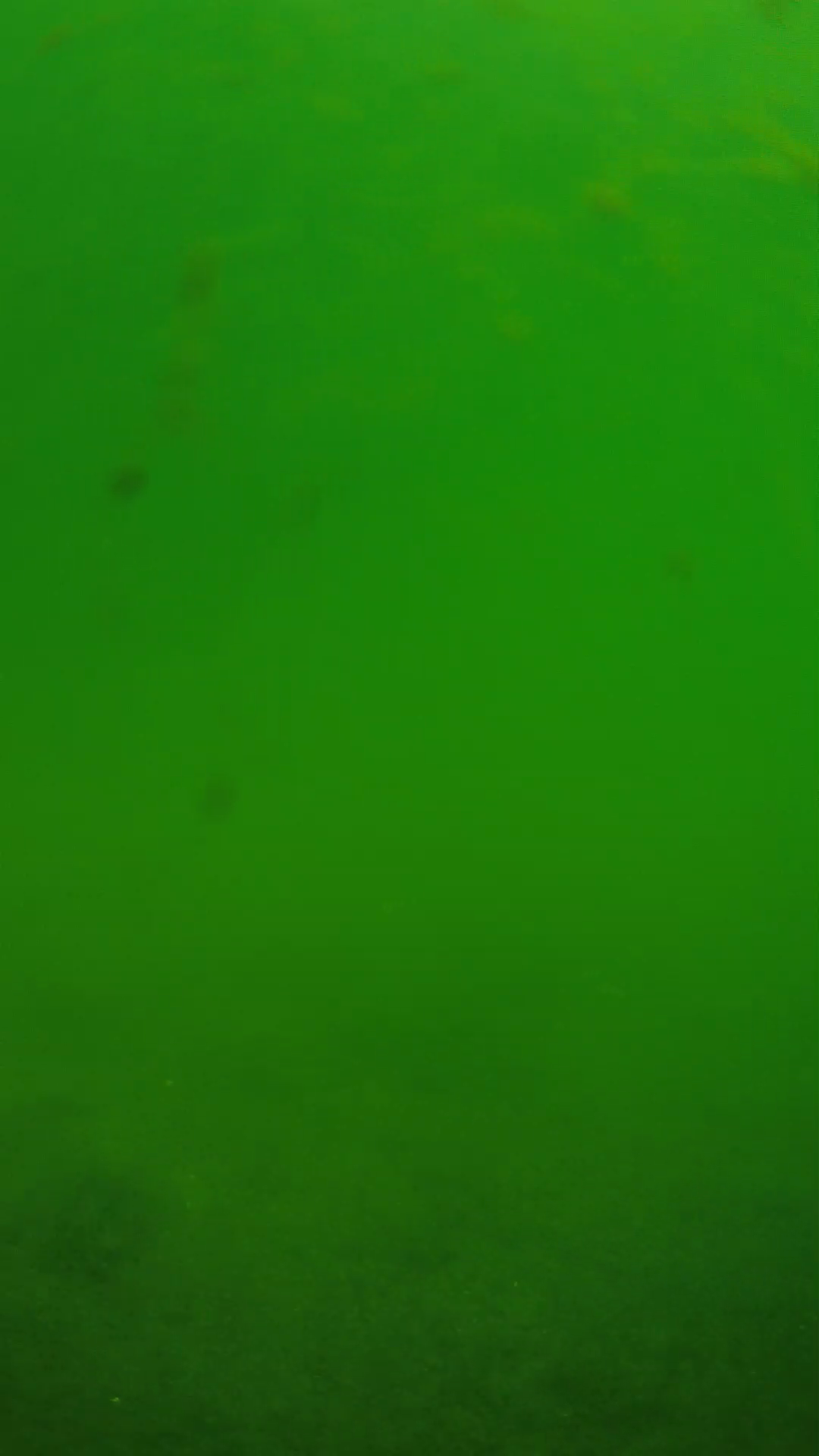 lander_ipcam_20240622100555.png