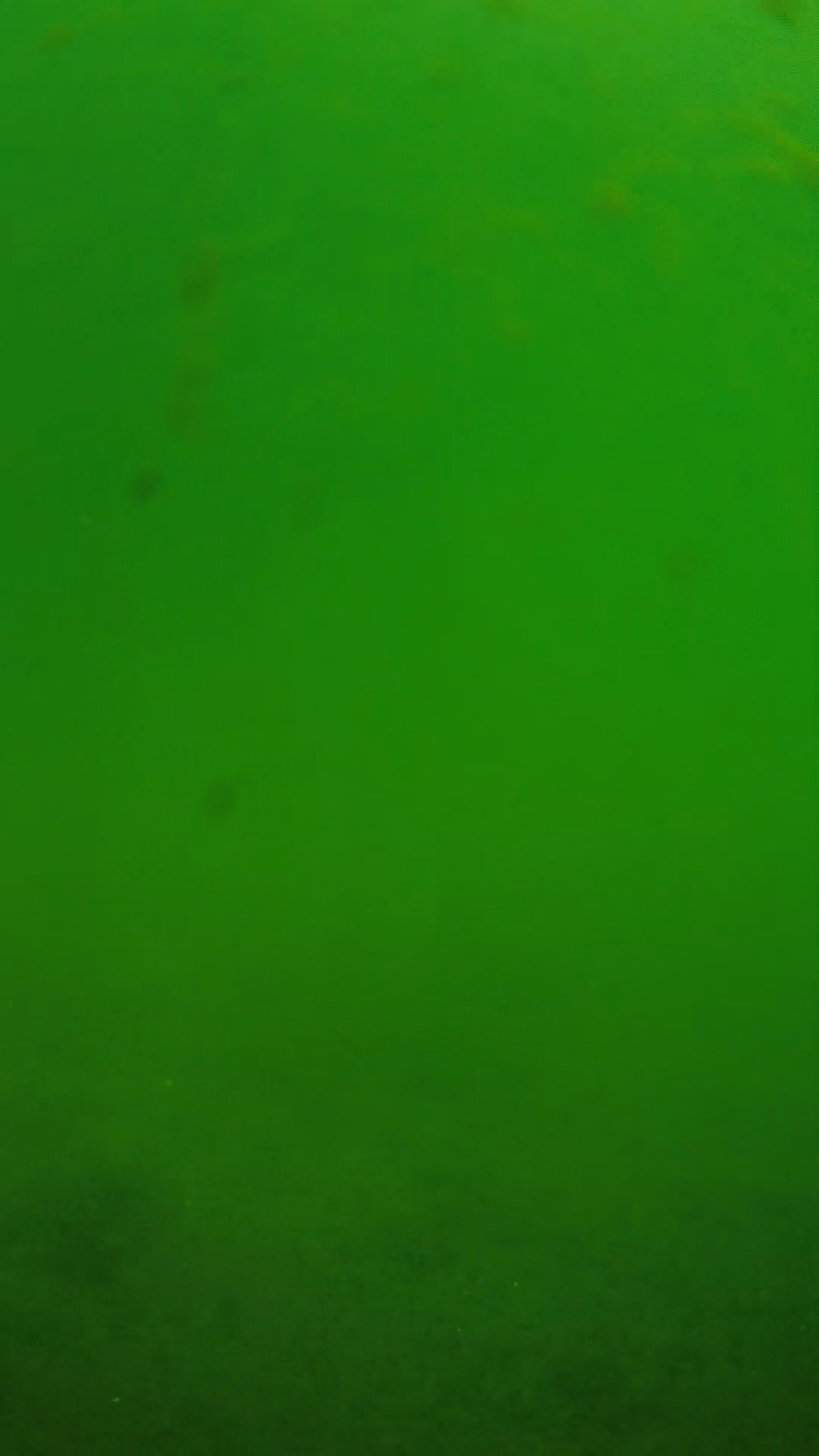 lander_ipcam_20240622100556.png