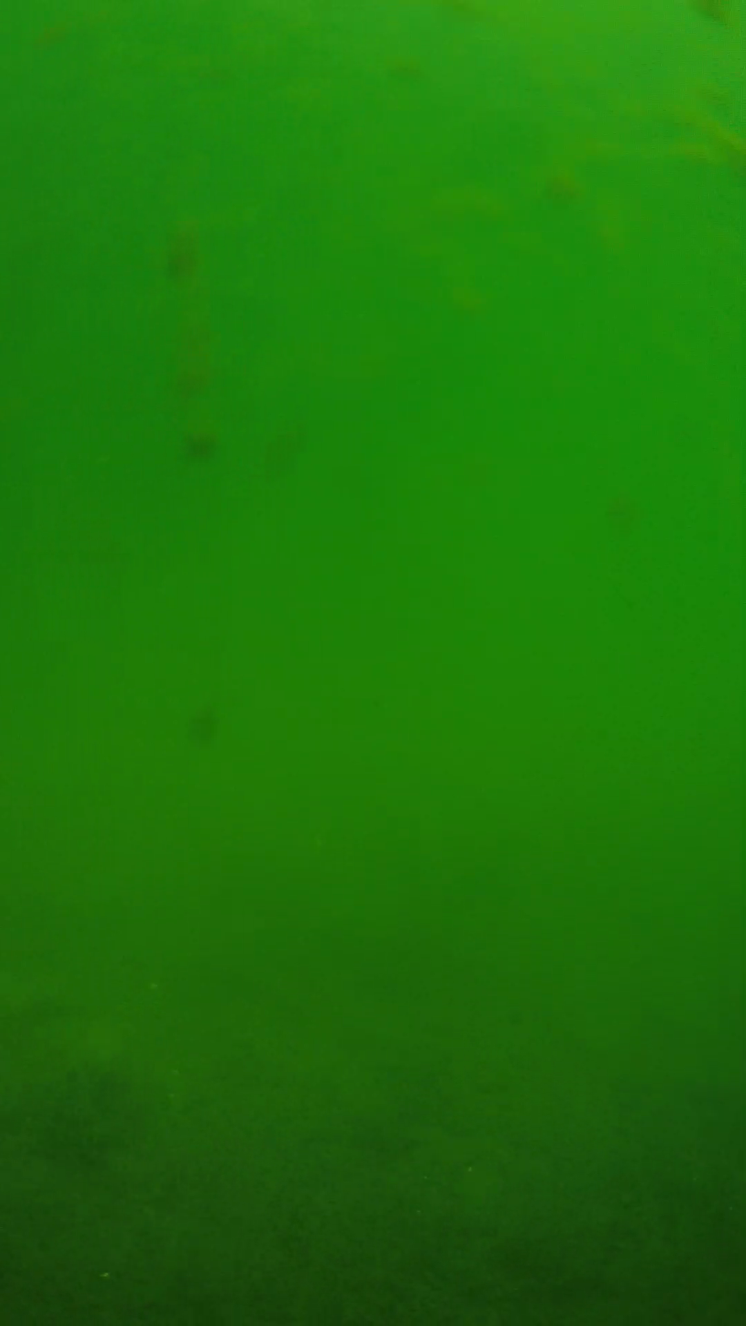 lander_ipcam_20240622100557.png