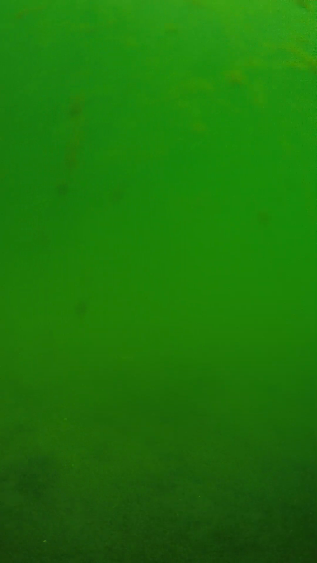 lander_ipcam_20240622100558.png
