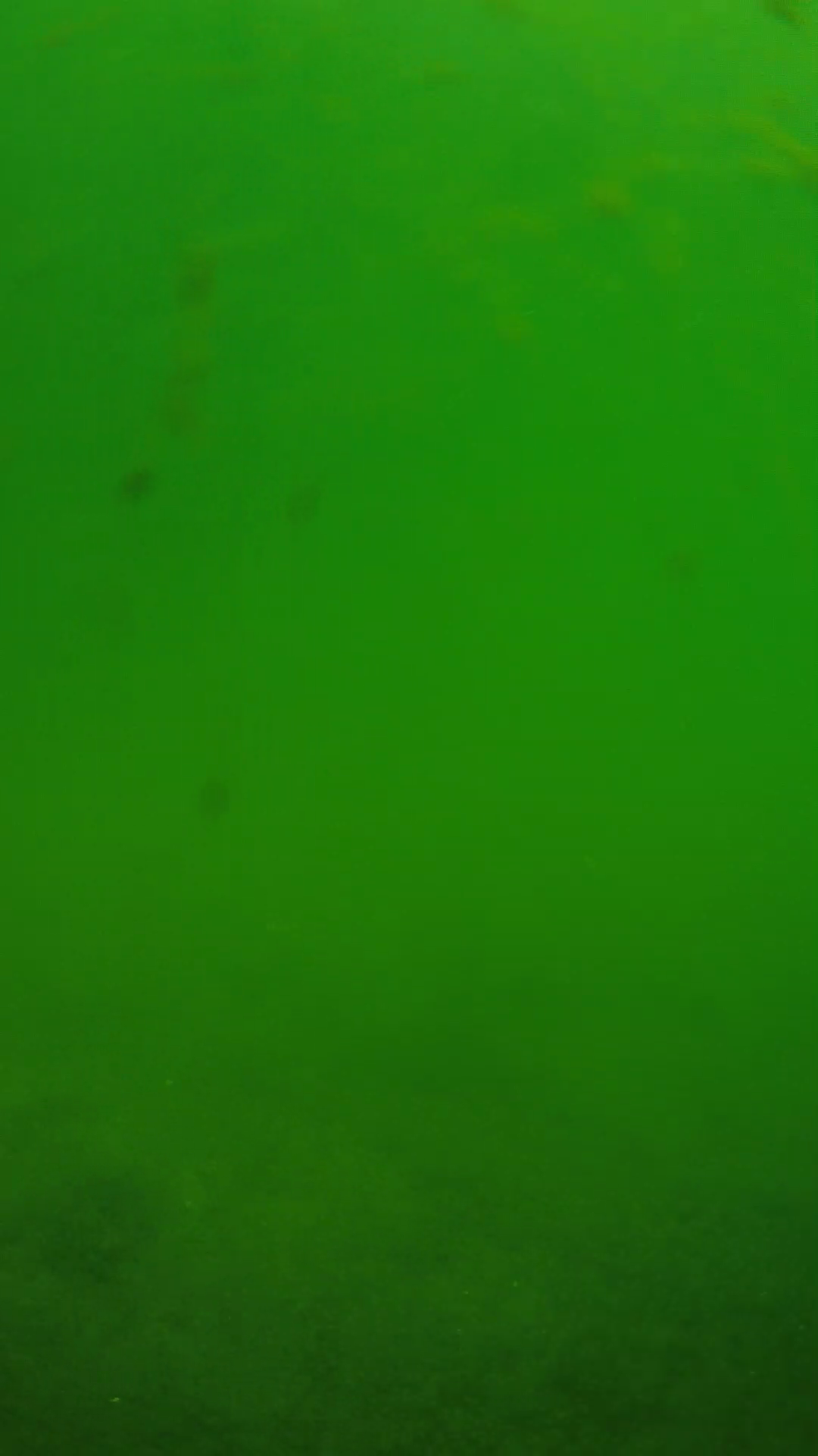 lander_ipcam_20240622100559.png