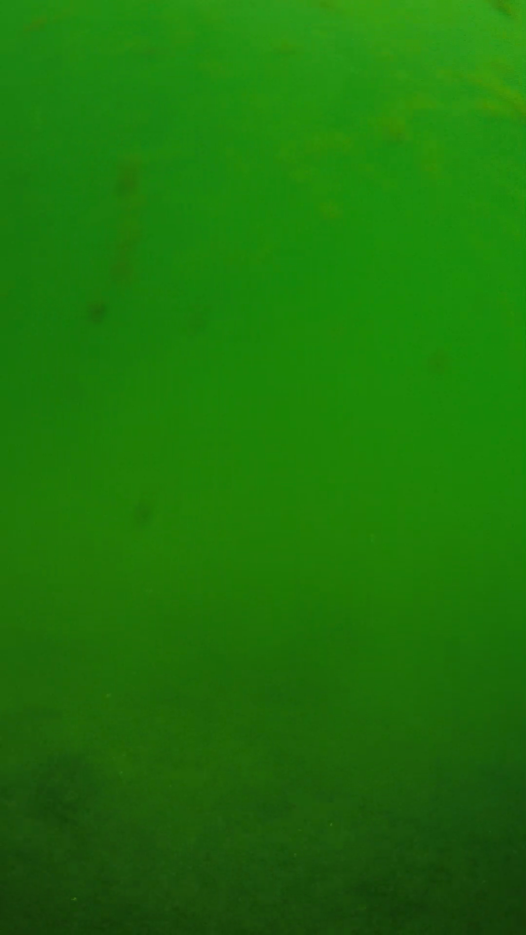 lander_ipcam_20240622100600.png
