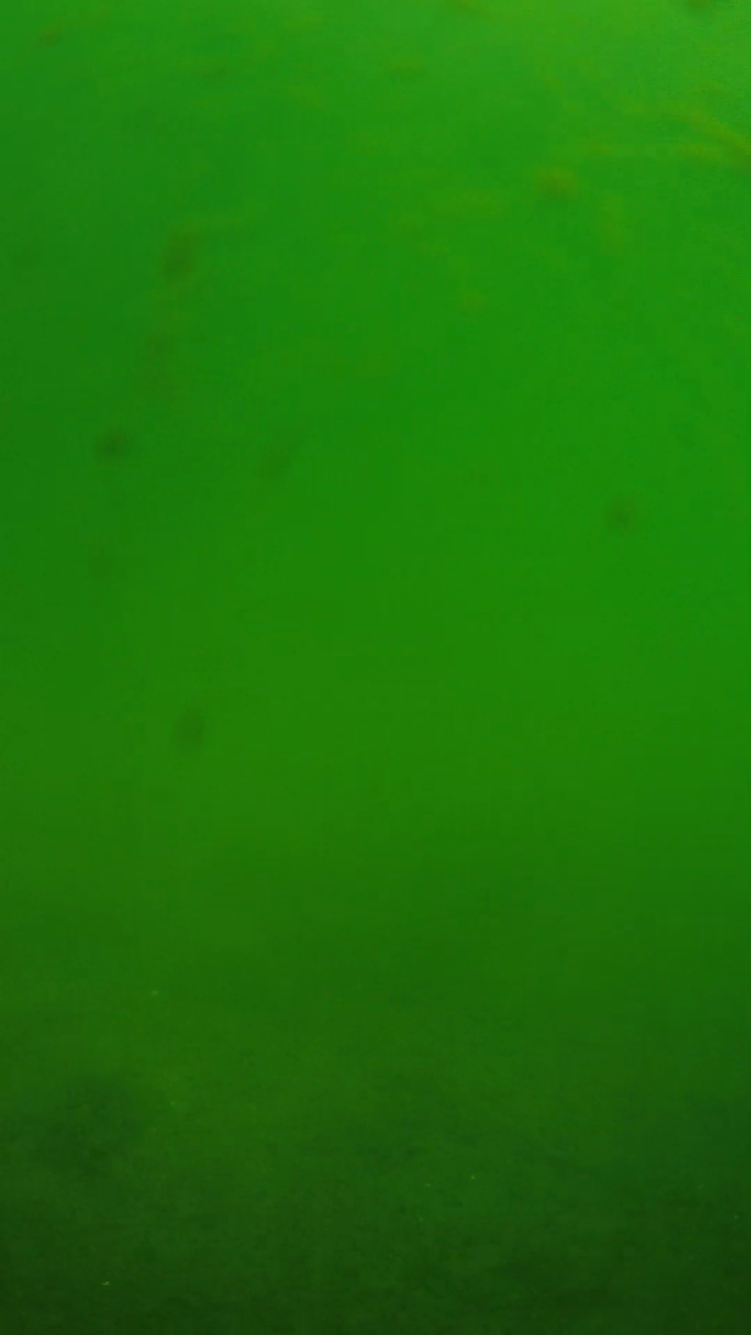lander_ipcam_20240622100602.png
