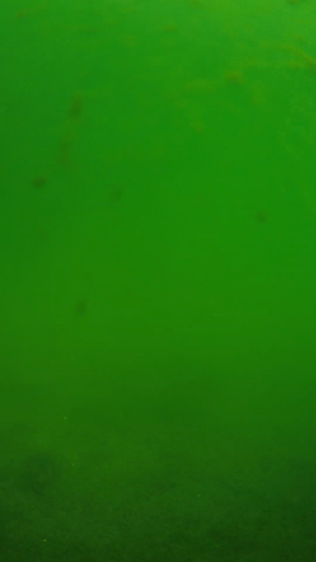 lander_ipcam_20240622100603.png