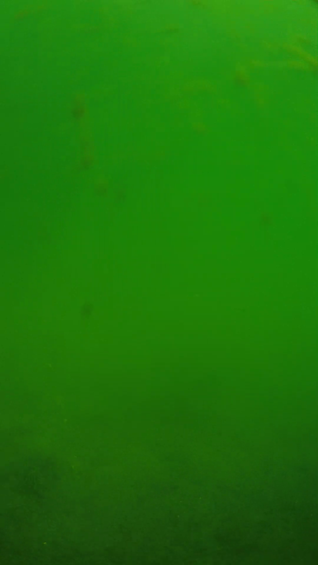 lander_ipcam_20240622100605.png