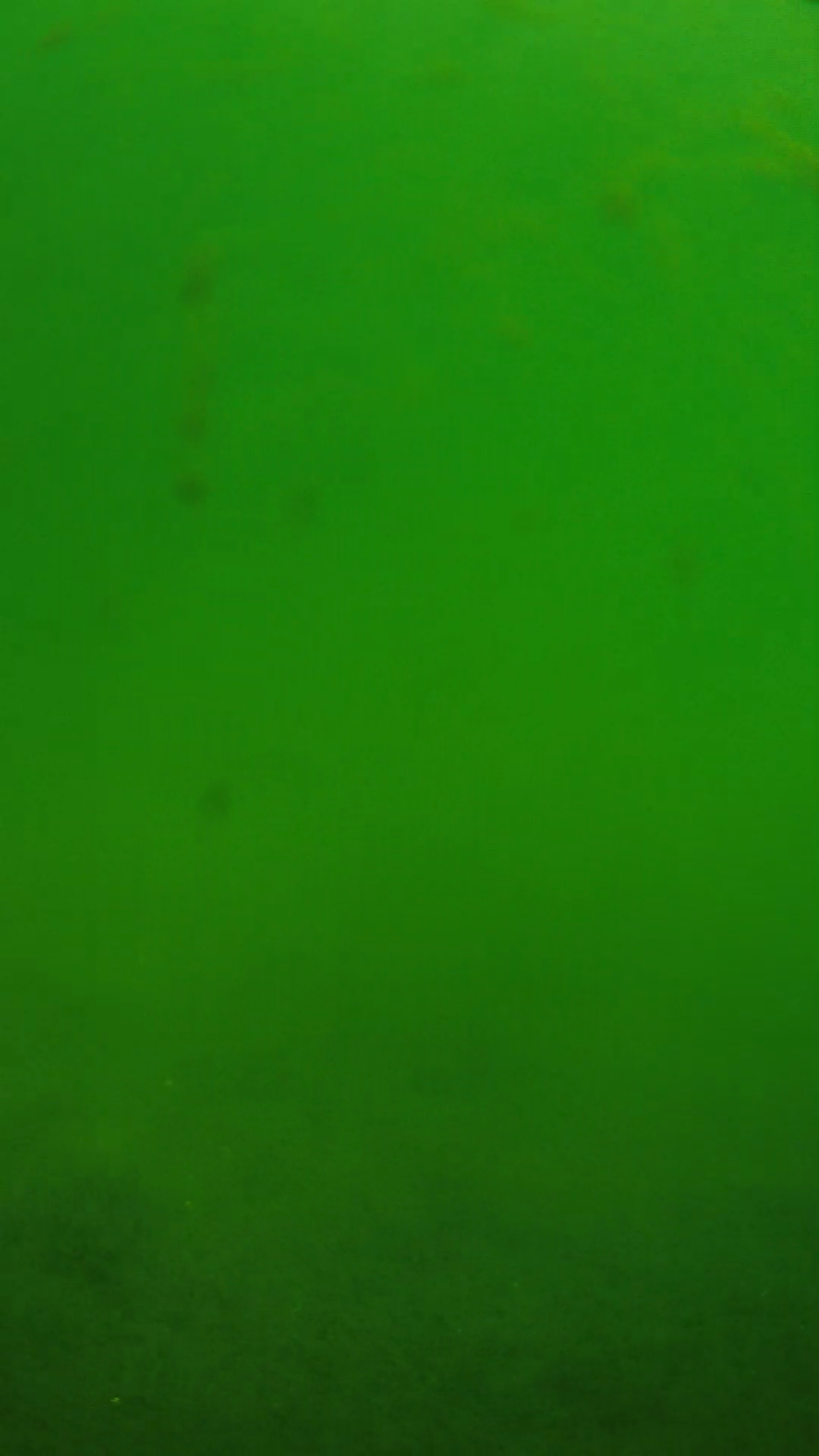 lander_ipcam_20240622100606.png