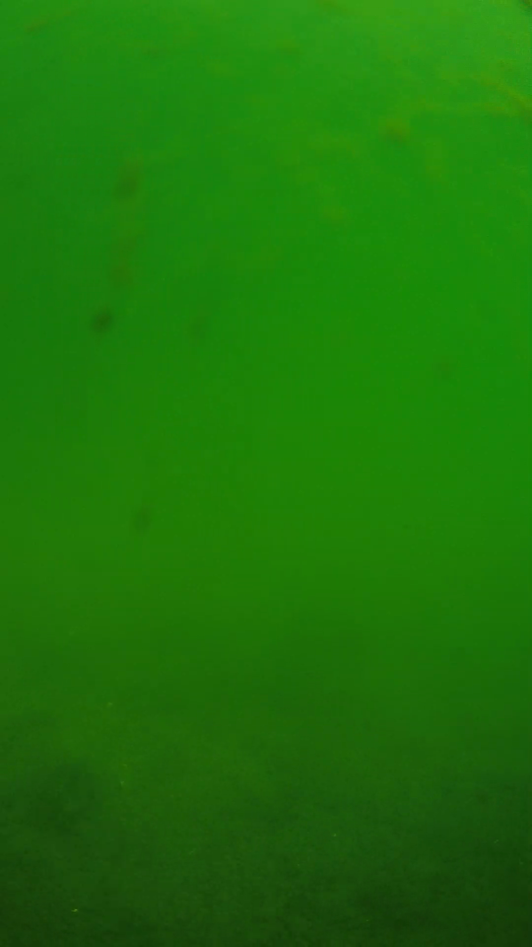lander_ipcam_20240622100607.png