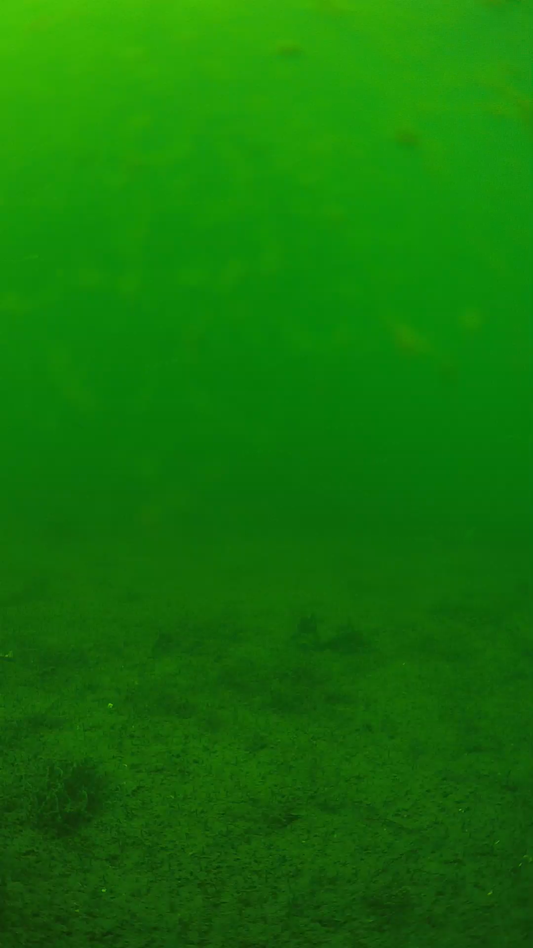 lander_ipcam_20240622130550.png