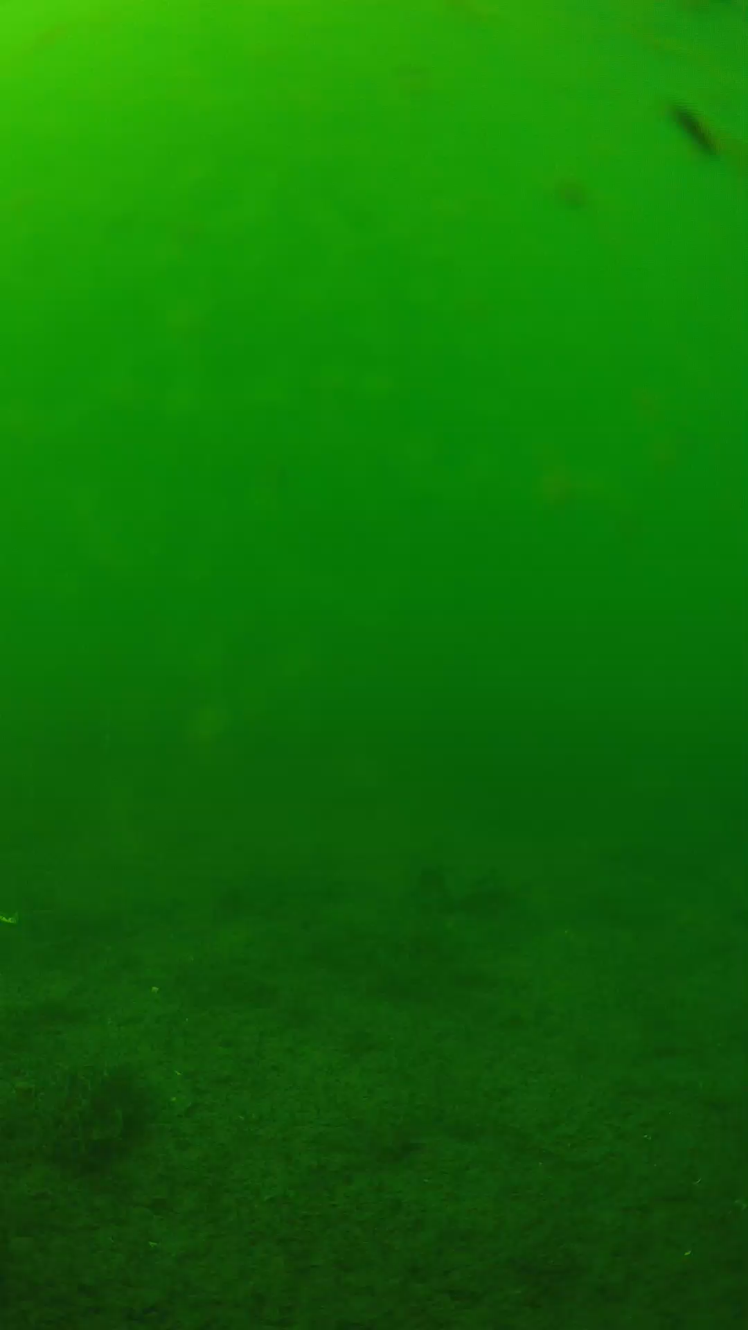 lander_ipcam_20240622140538.png