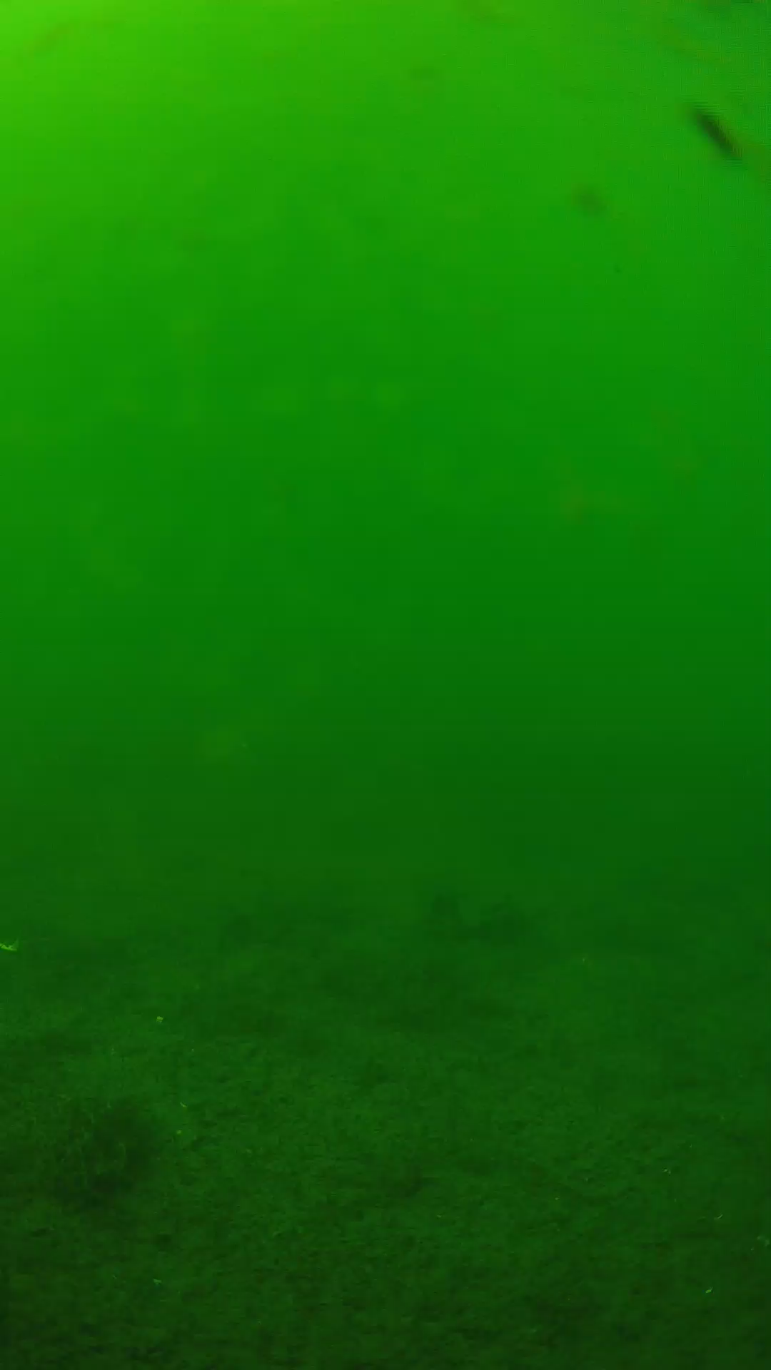 lander_ipcam_20240622140559.png