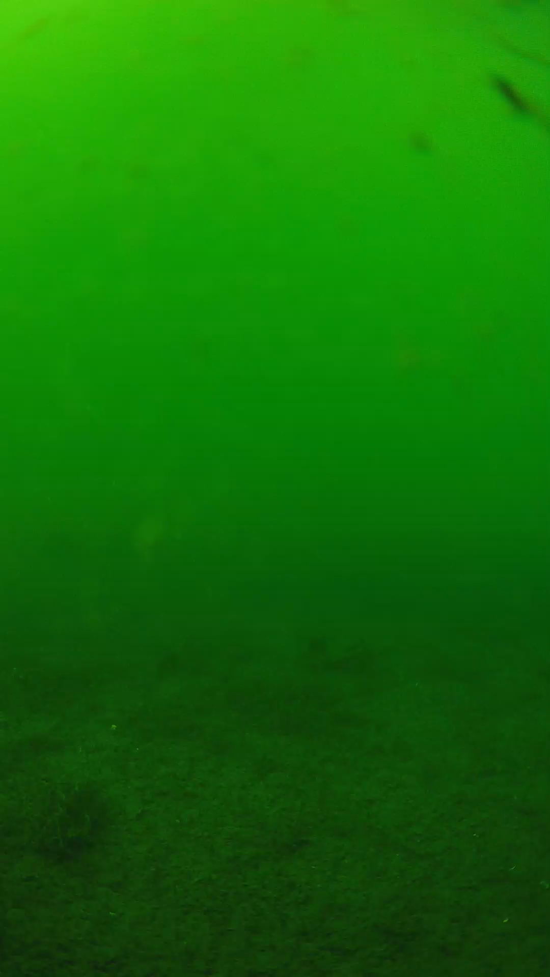 lander_ipcam_20240622143549.png