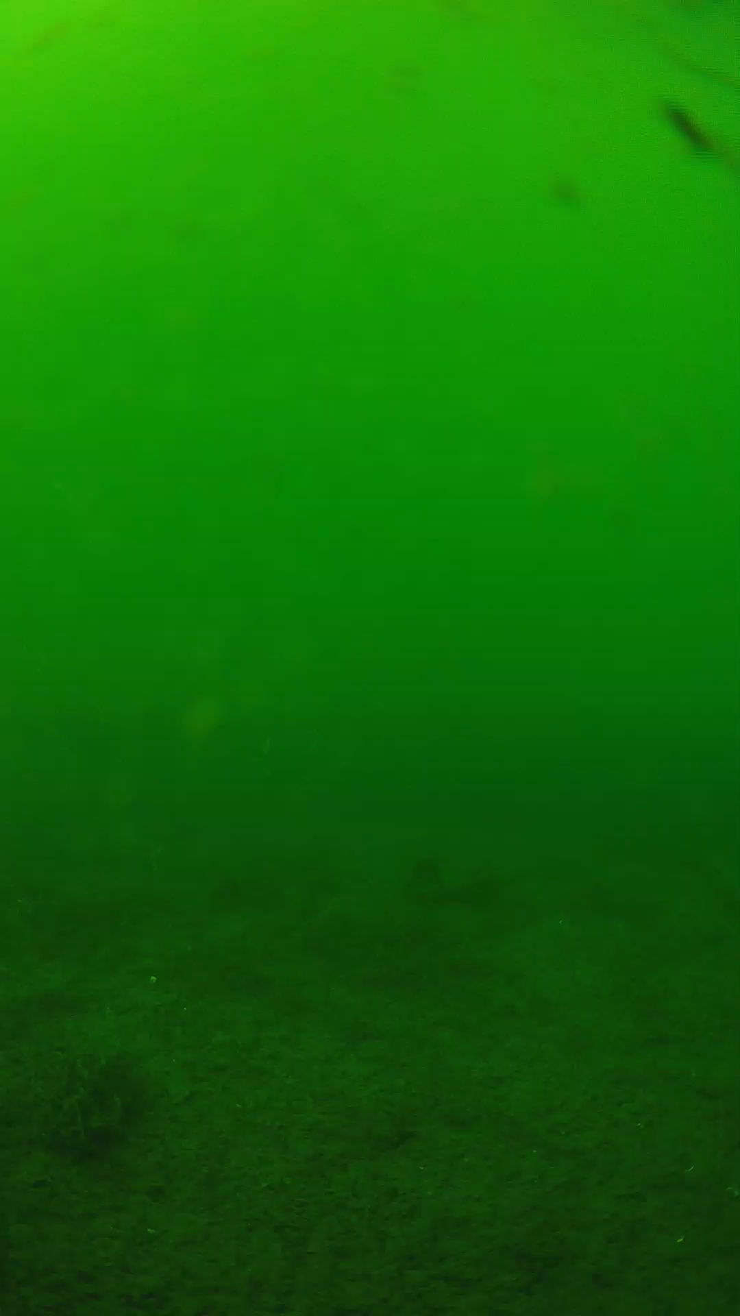 lander_ipcam_20240622143553.png