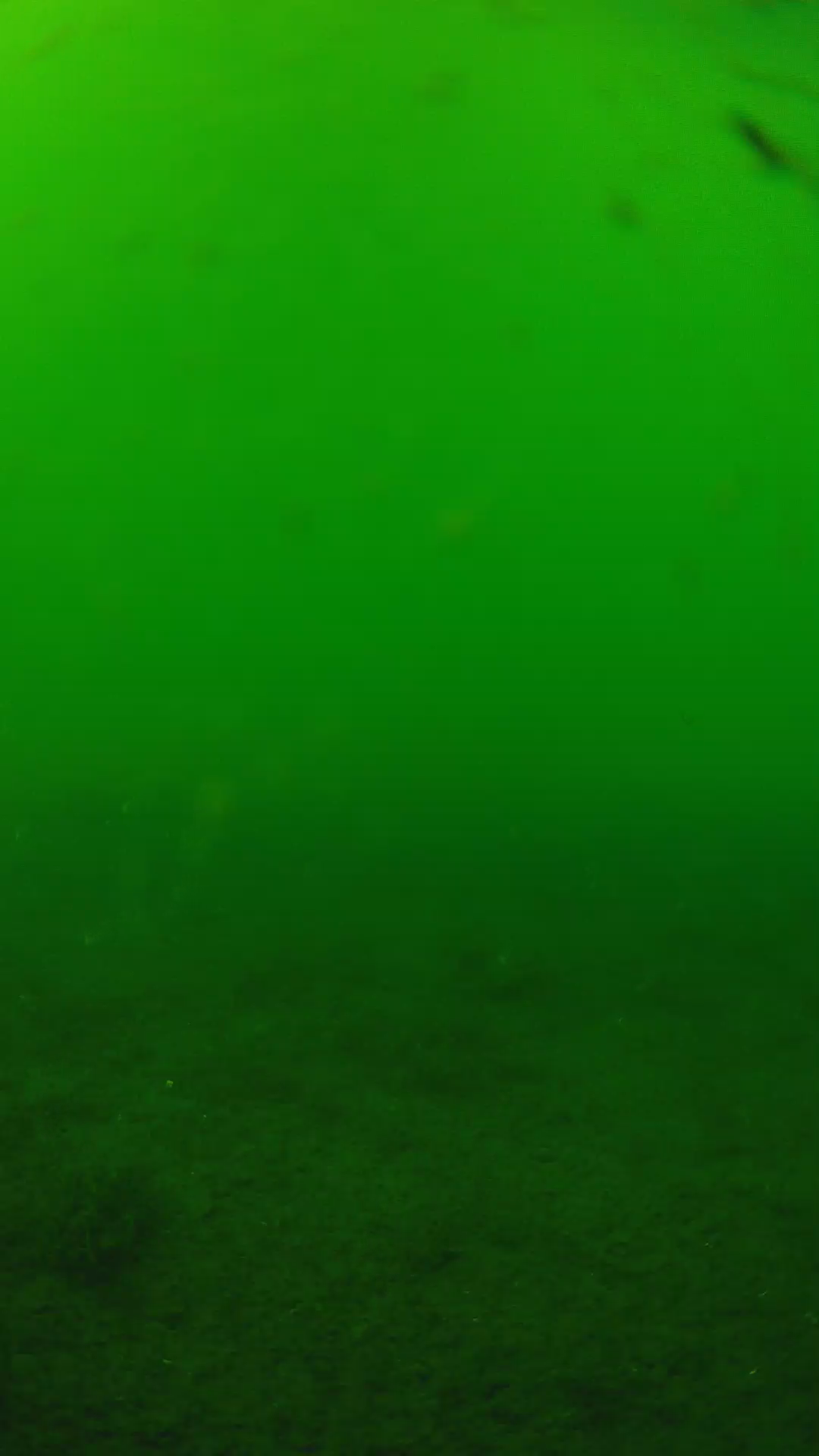 lander_ipcam_20240622150539.png