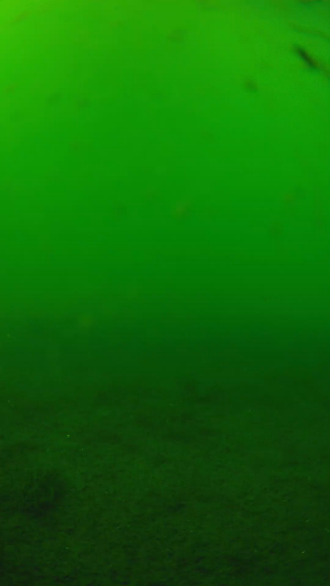 lander_ipcam_20240622150540.png