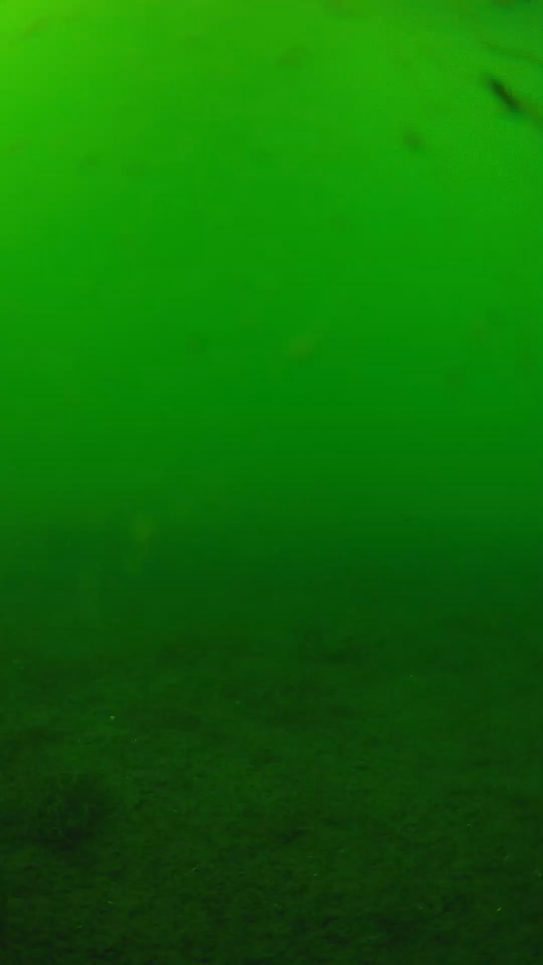 lander_ipcam_20240622150542.png