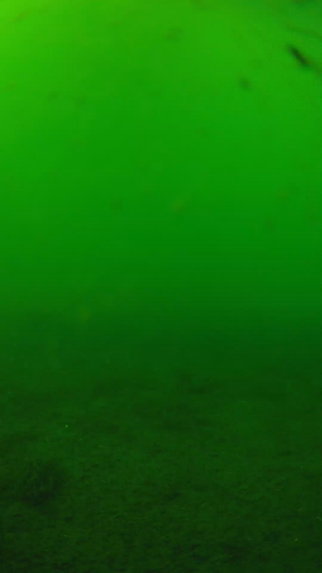 lander_ipcam_20240622150545.png