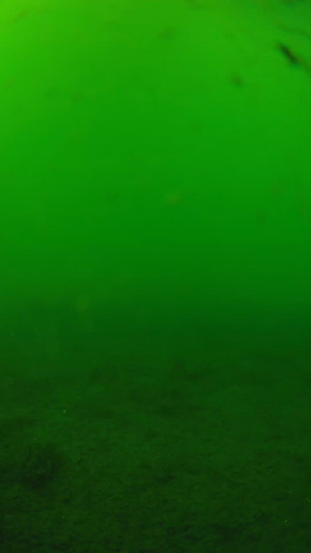 lander_ipcam_20240622150549.png
