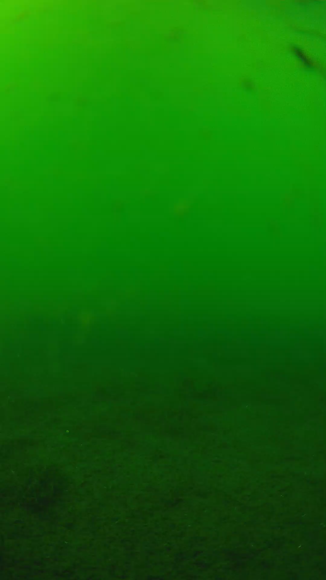 lander_ipcam_20240622150551.png
