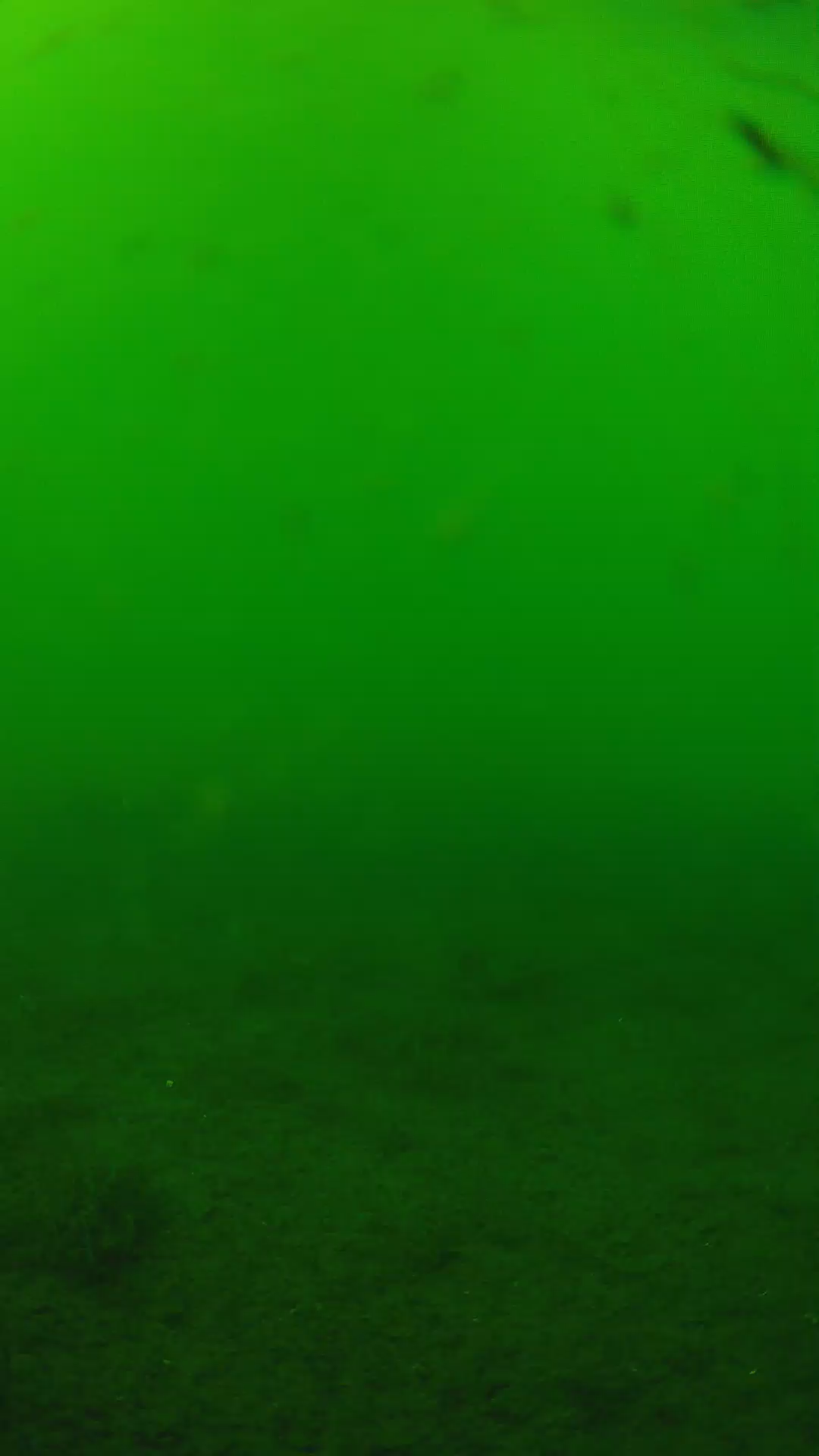 lander_ipcam_20240622150552.png