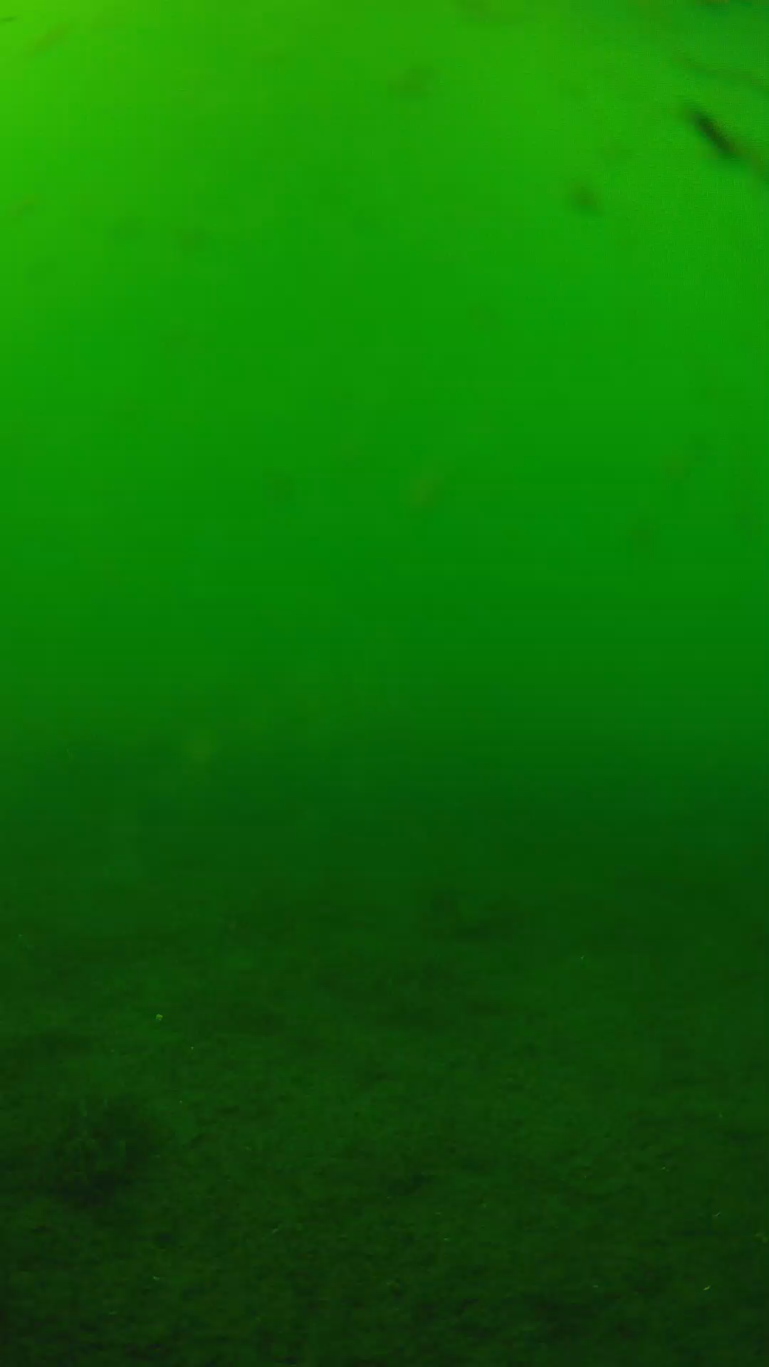 lander_ipcam_20240622150553.png